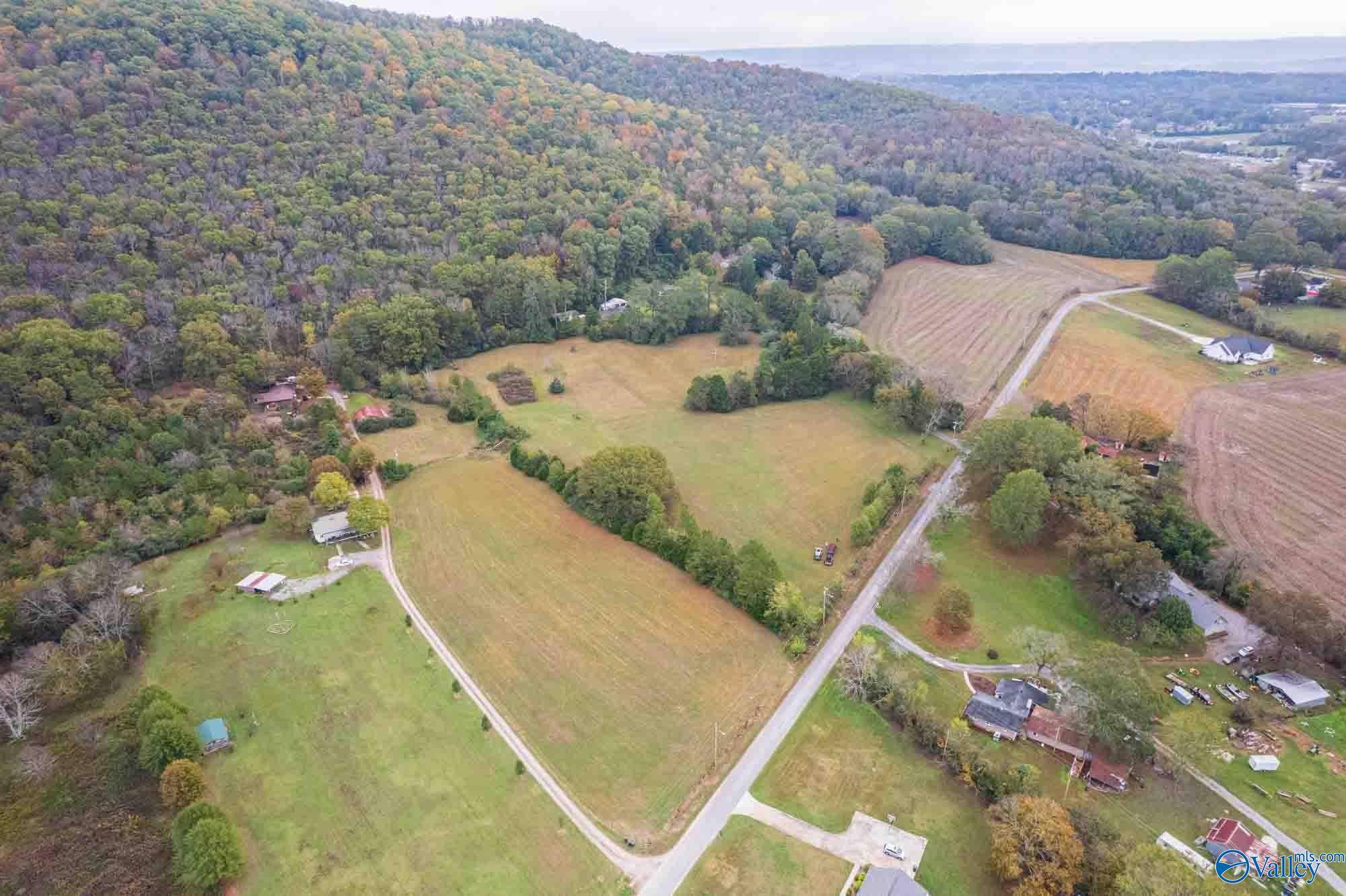 Scottsboro, AL 35768,44 ac Old Larkinsville Road