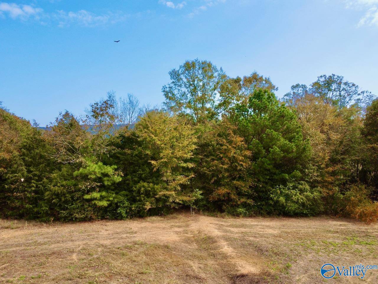 Langston, AL 35755,16 Cemetery Road