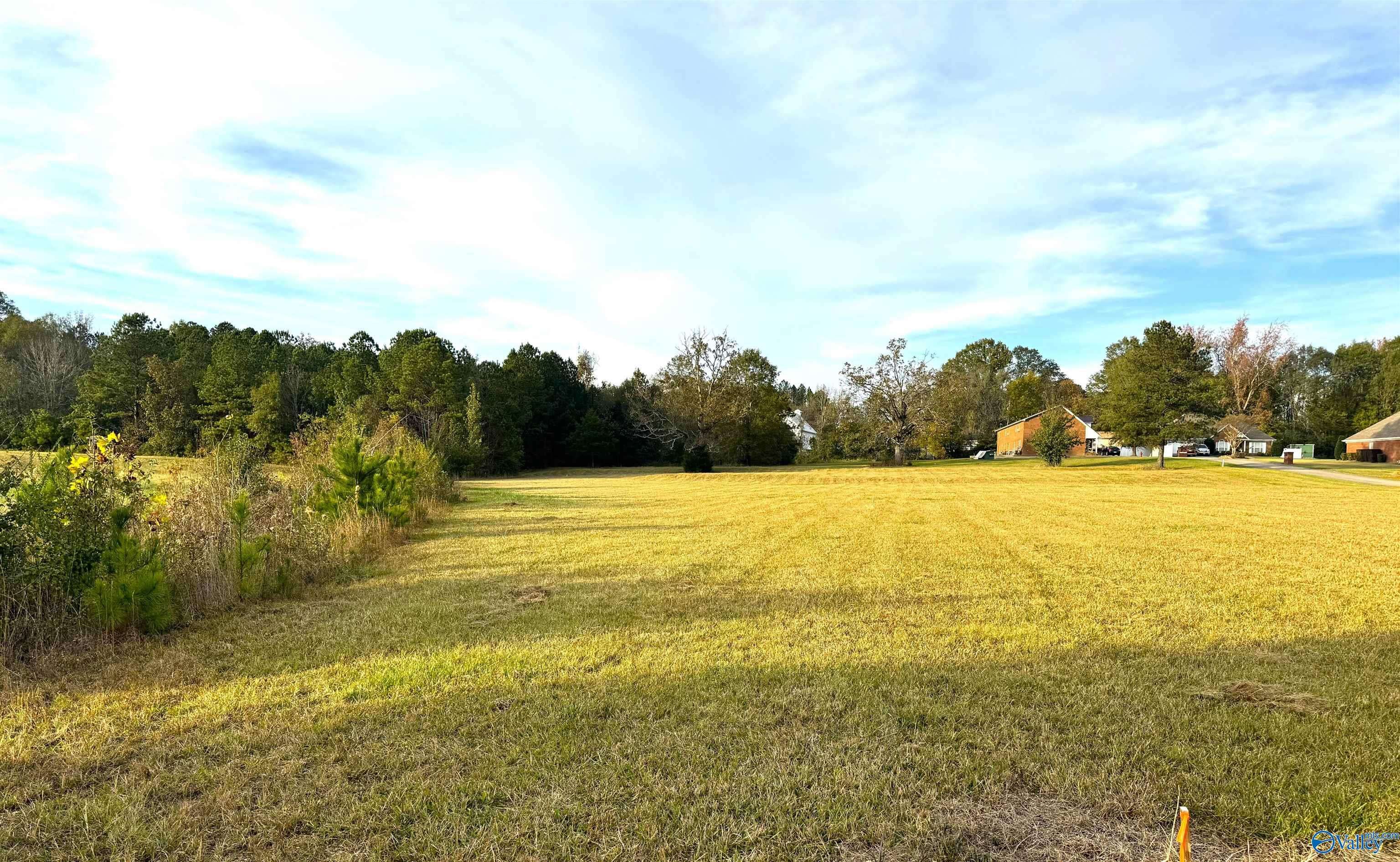 Hokes Bluff, AL 35903,.7 acres Appalachian Highway