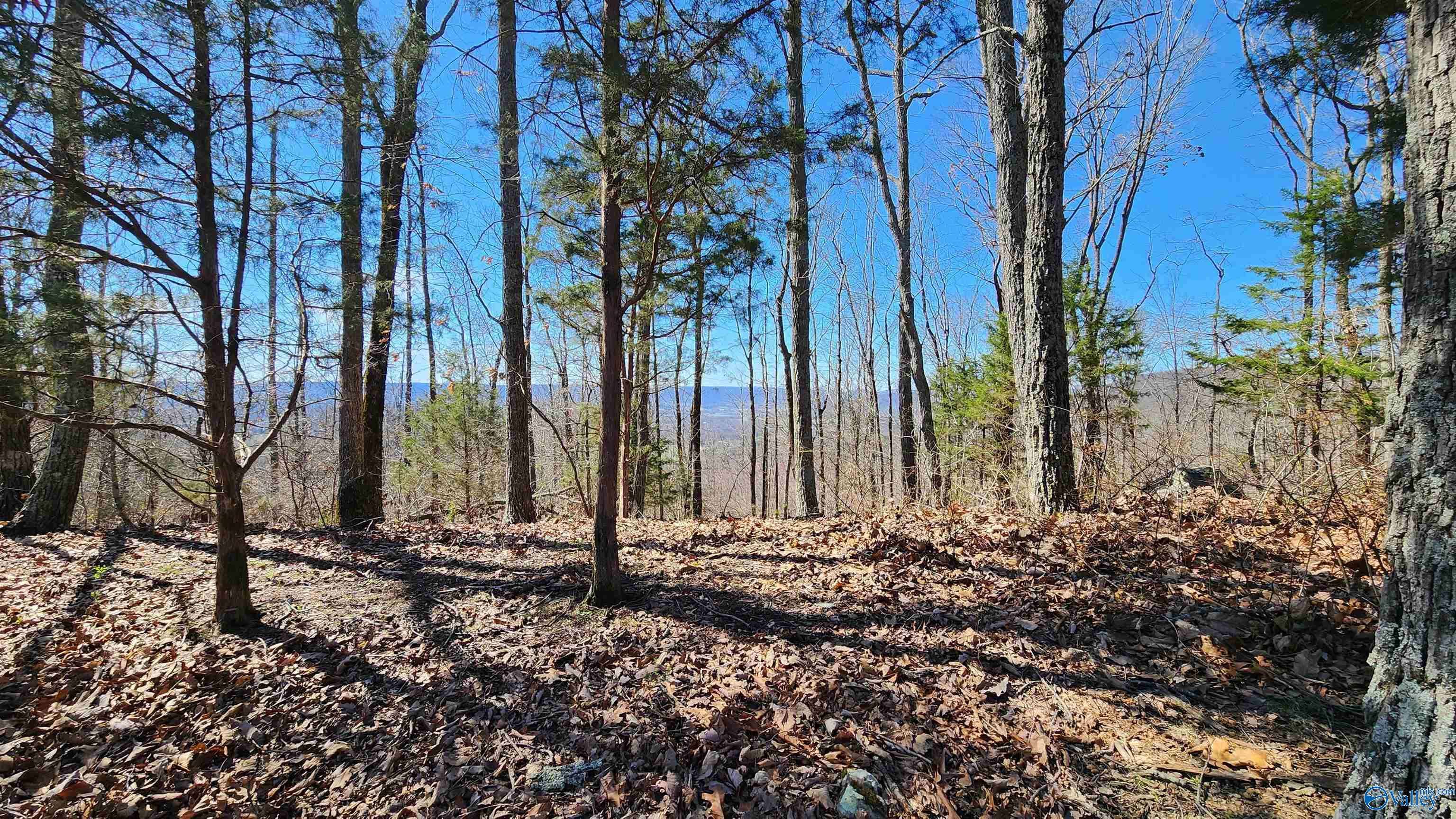 Gurley, AL 35748,76acres Blowing Cave Road