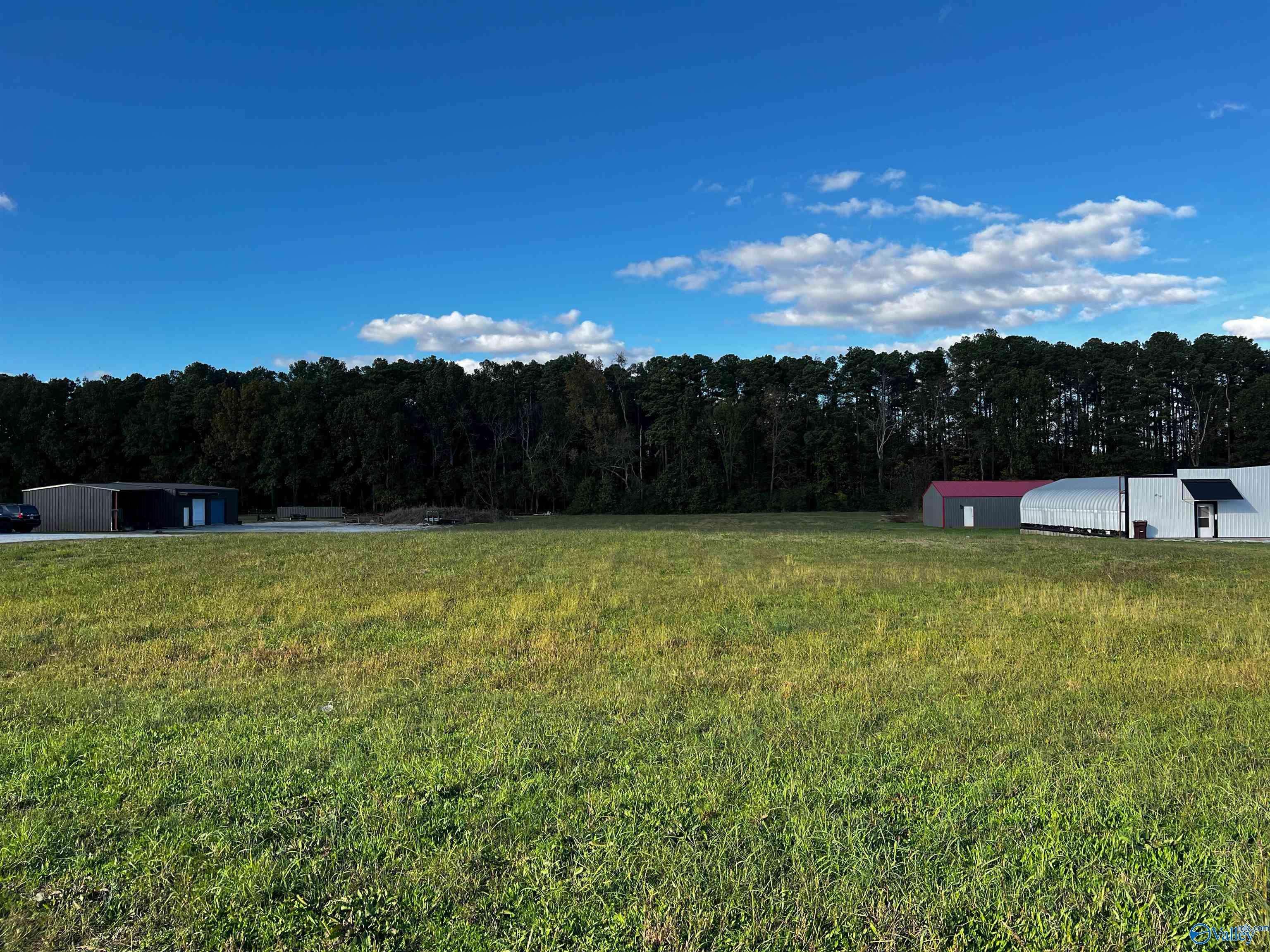 Athens, AL 35611,2.2 acres Snake Road