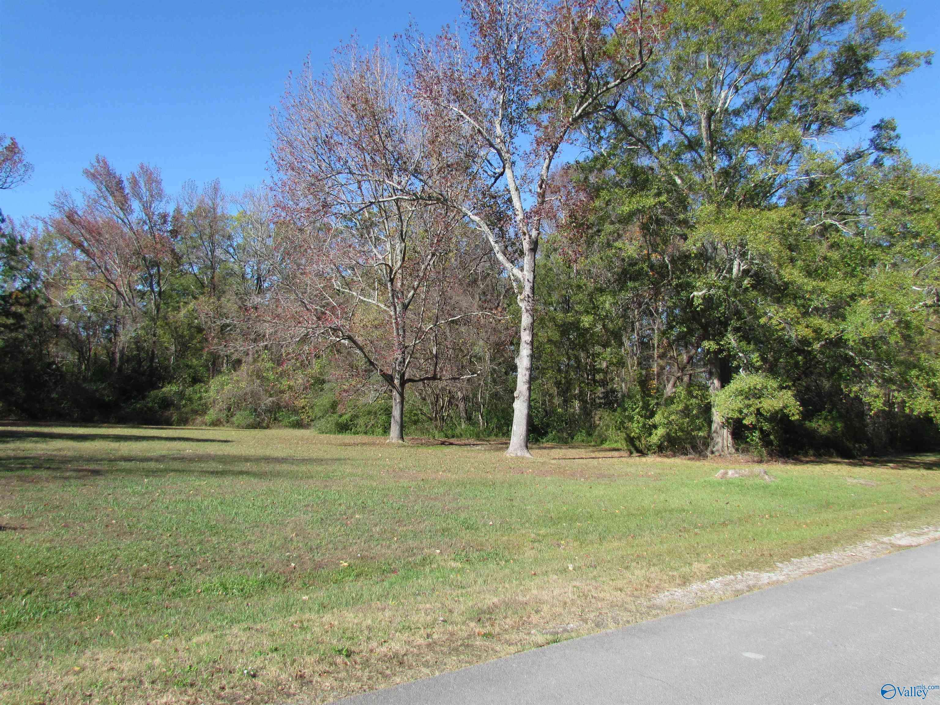 Priceville, AL 35601,Lot 14 Tim Avenue