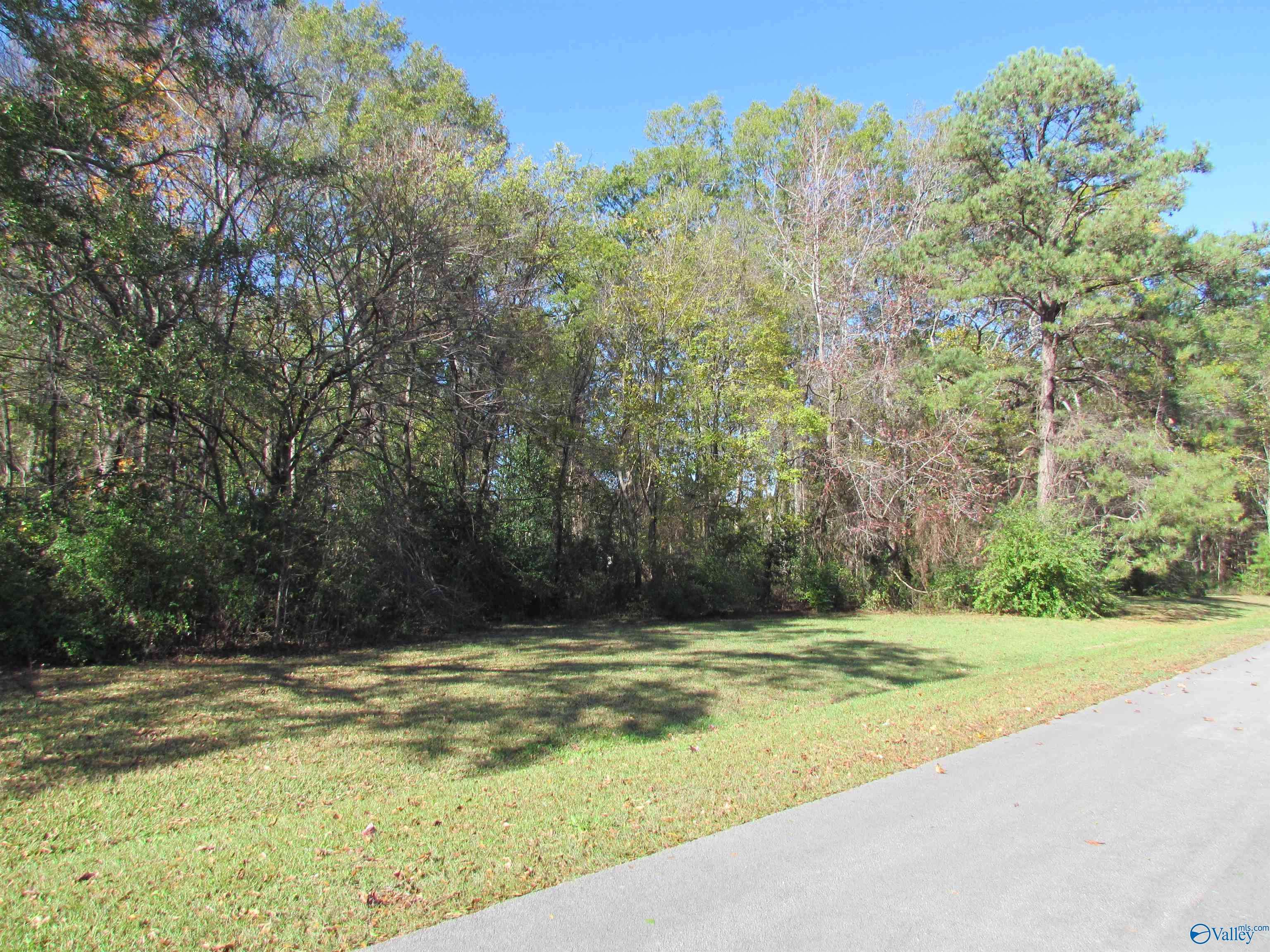 Priceville, AL 35601,Lot 14 Tim Avenue