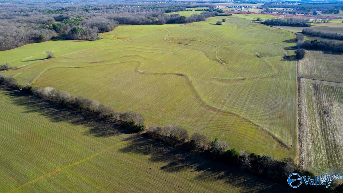 New Market, AL 35761,237 acres Narrow Lane