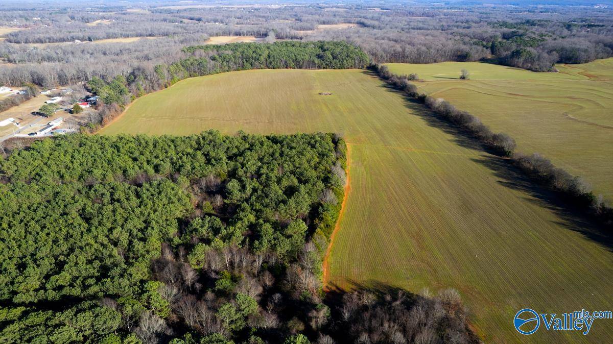 New Market, AL 35761,237 acres Narrow Lane