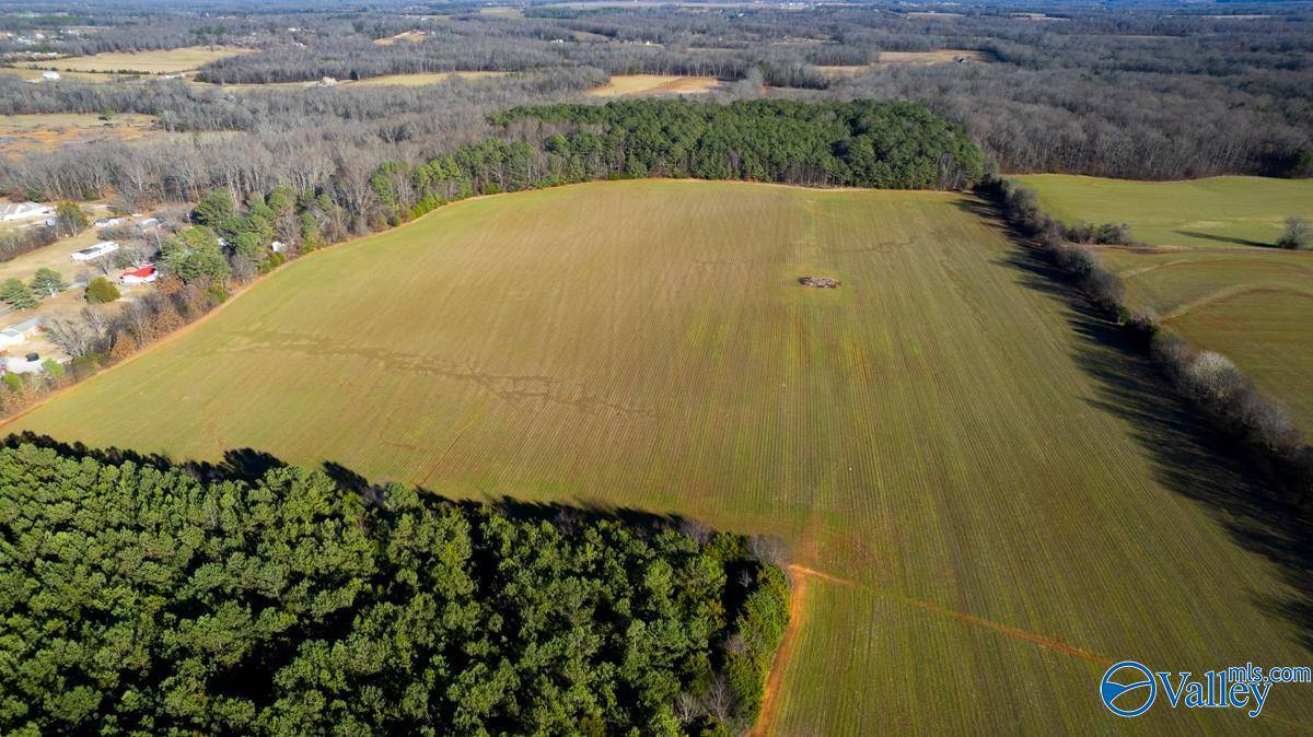 New Market, AL 35761,237 acres Narrow Lane