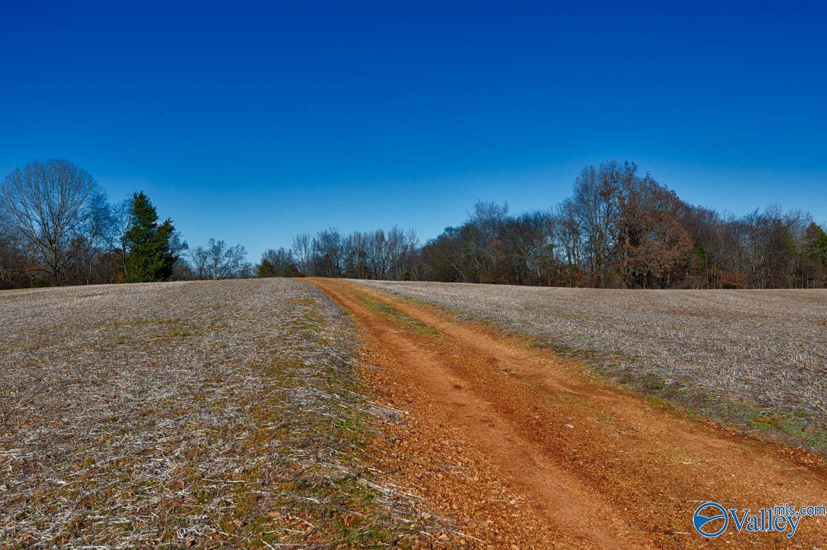 Hazel Green, AL 35750,271+/- acres Joe Quick Road