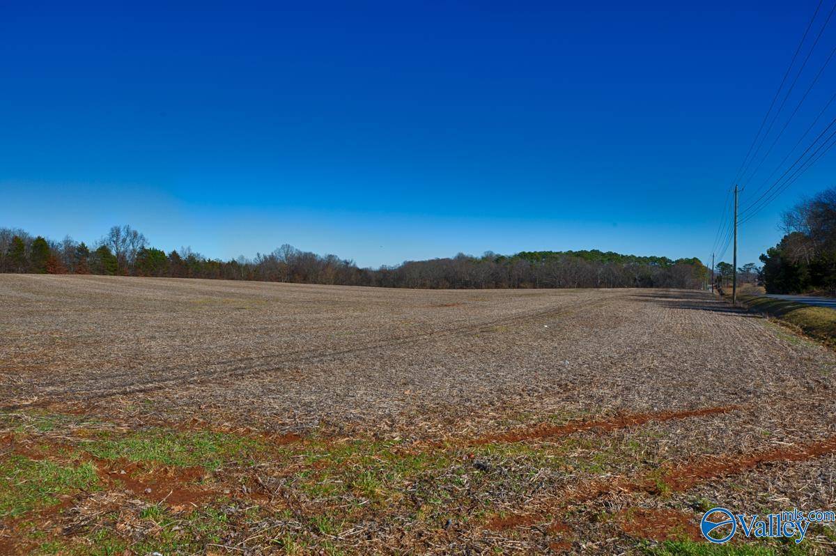 Hazel Green, AL 35750,271+/- acres Joe Quick Road