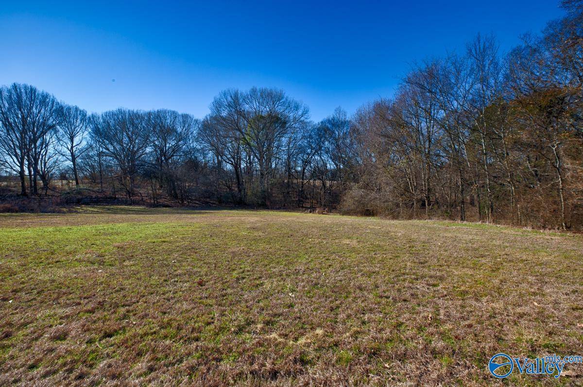 Hazel Green, AL 35750,271+/- acres Joe Quick Road