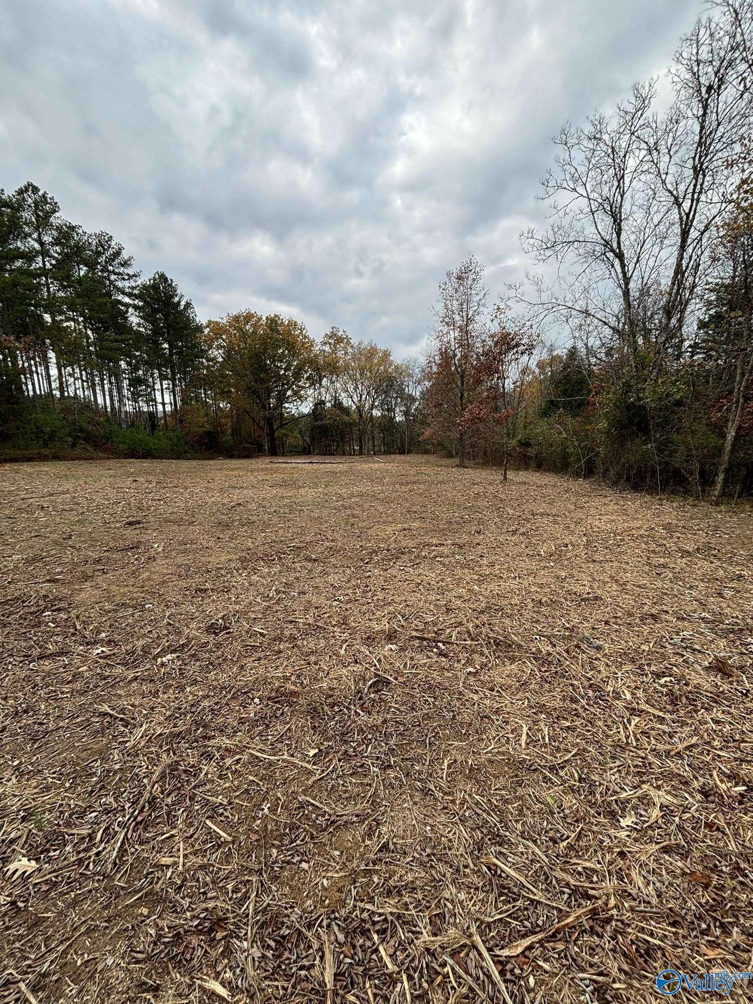 Moulton, AL 35650,10 Acres County Road 59