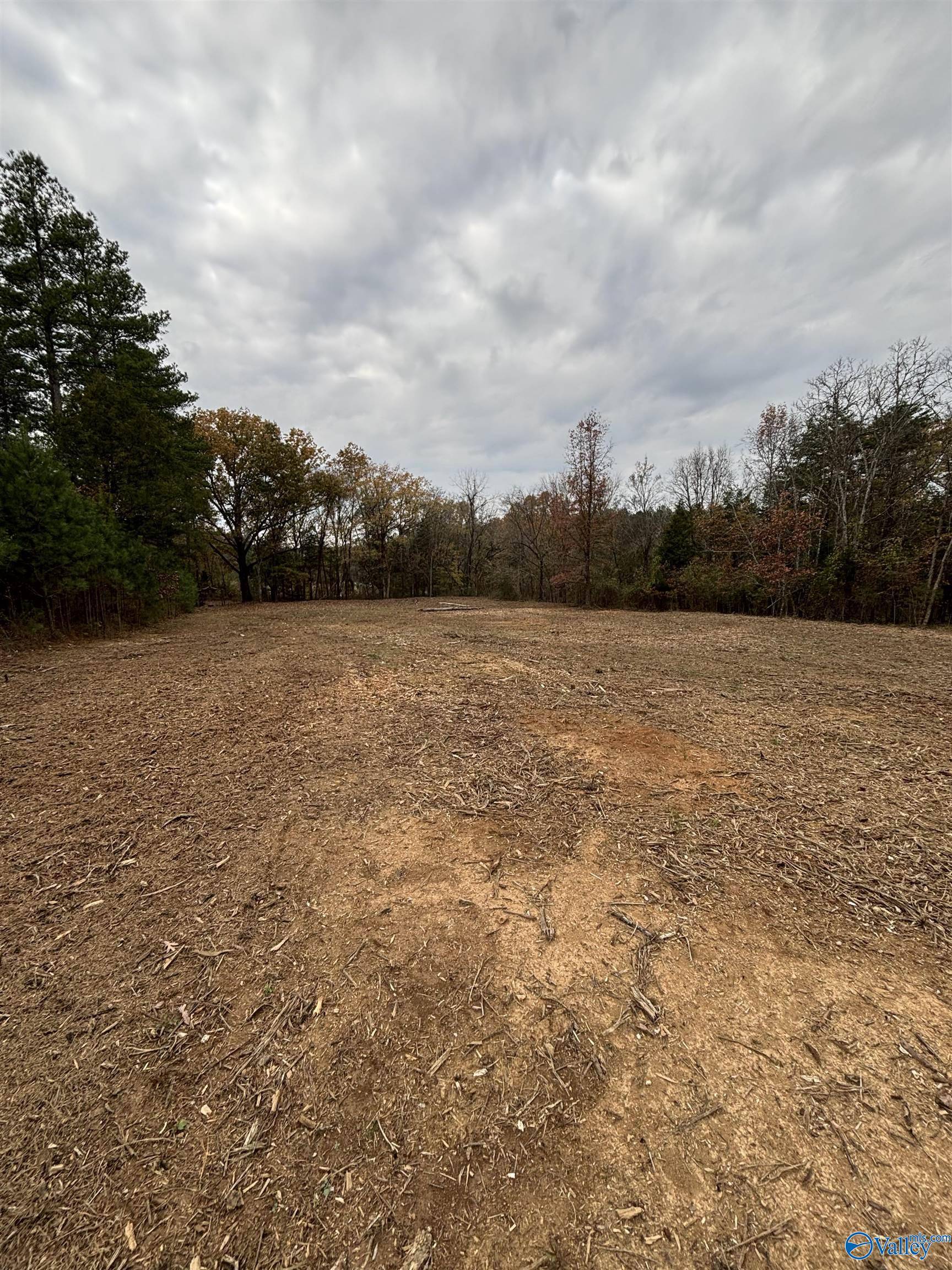 Moulton, AL 35650,10 Acres County Road 59