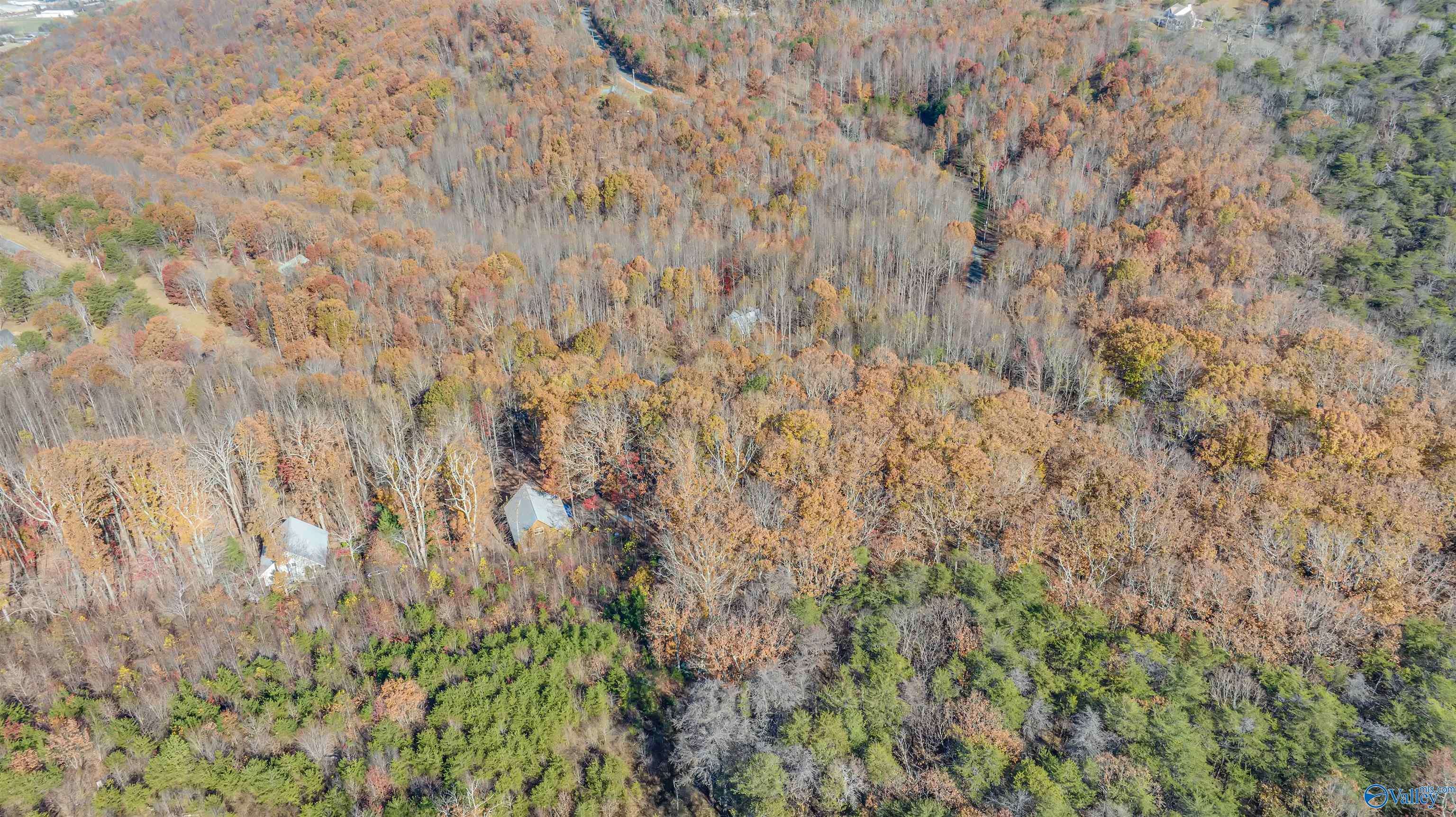 Fort Payne, AL 35967,Lot 17 Citadel Rock Road