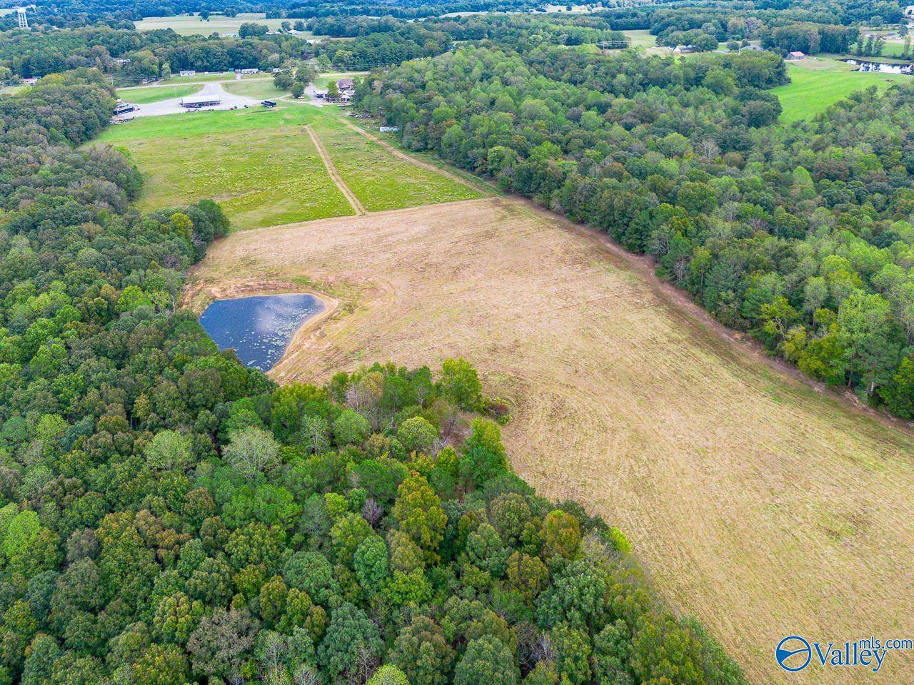 Falkville, AL 35622,40 acres Eva Road