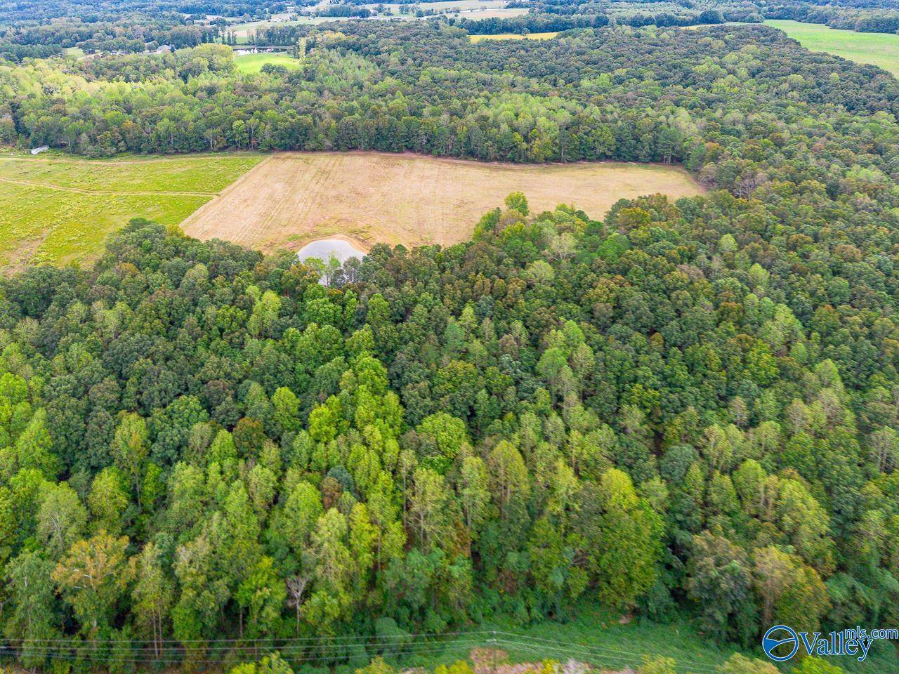 Falkville, AL 35622,40 acres Eva Road