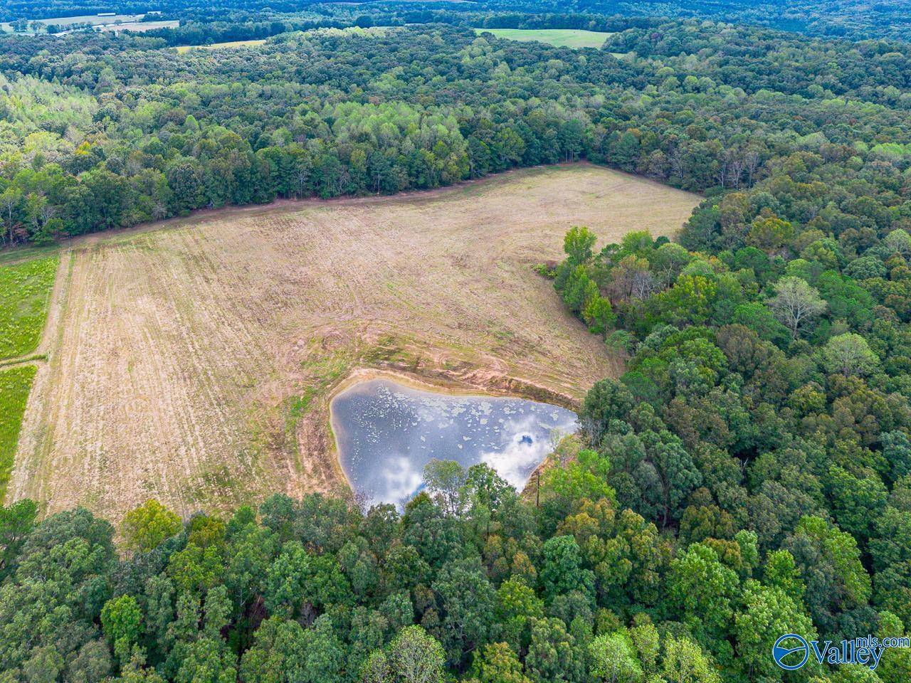 Falkville, AL 35622,40 acres Eva Road