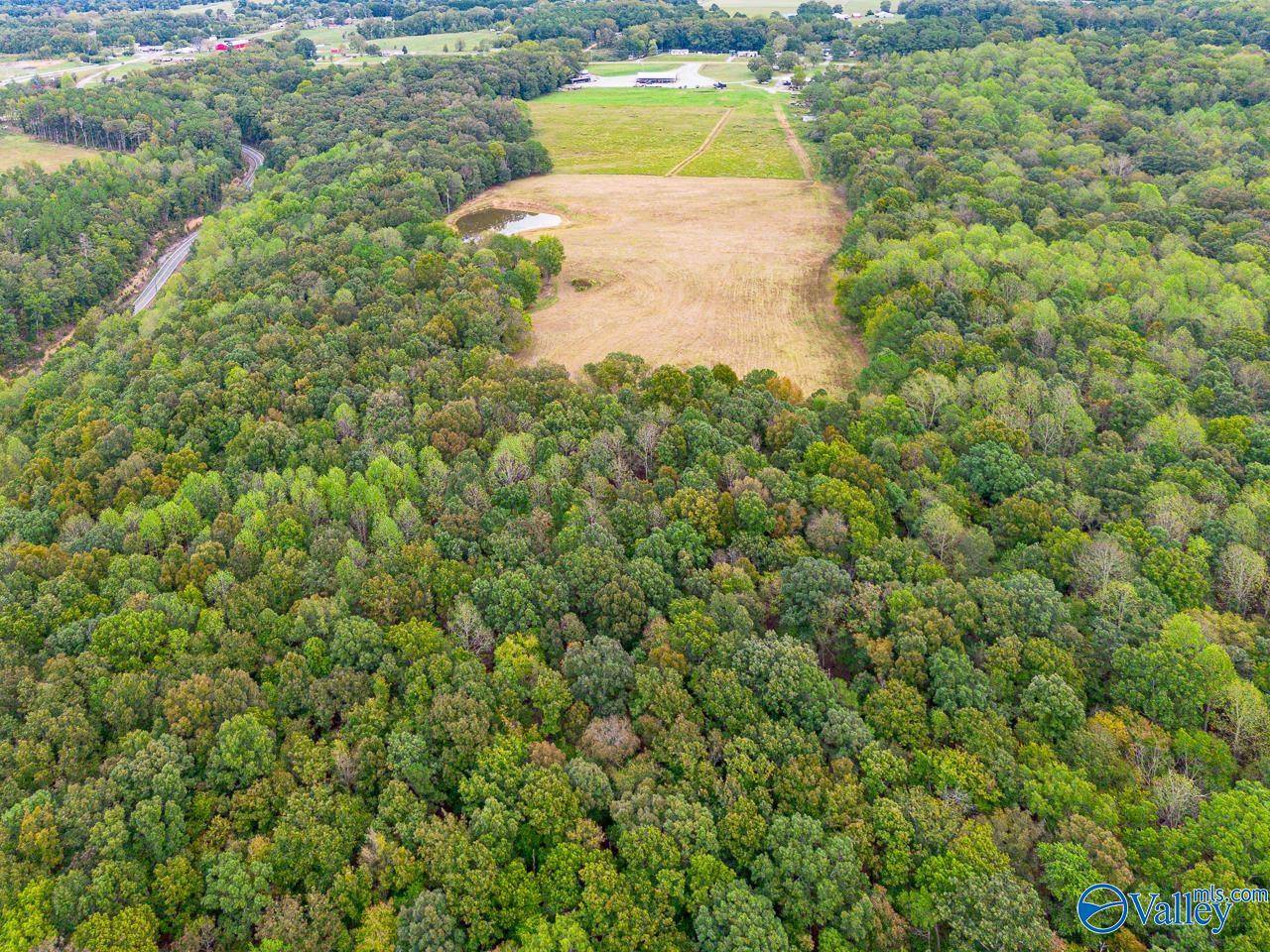 Falkville, AL 35622,40 acres Eva Road