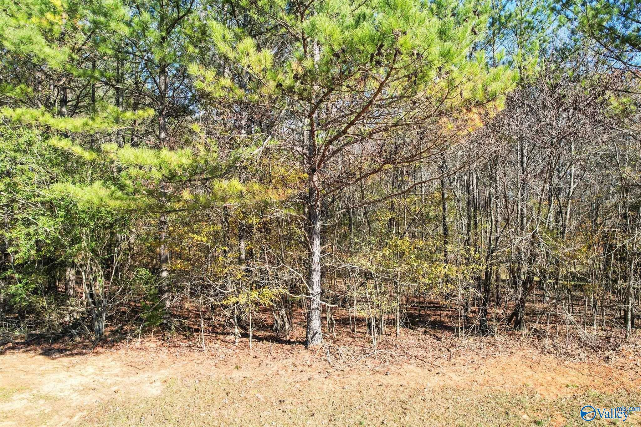 Elkmont, AL 35620,Lot 1 Poplar Drive