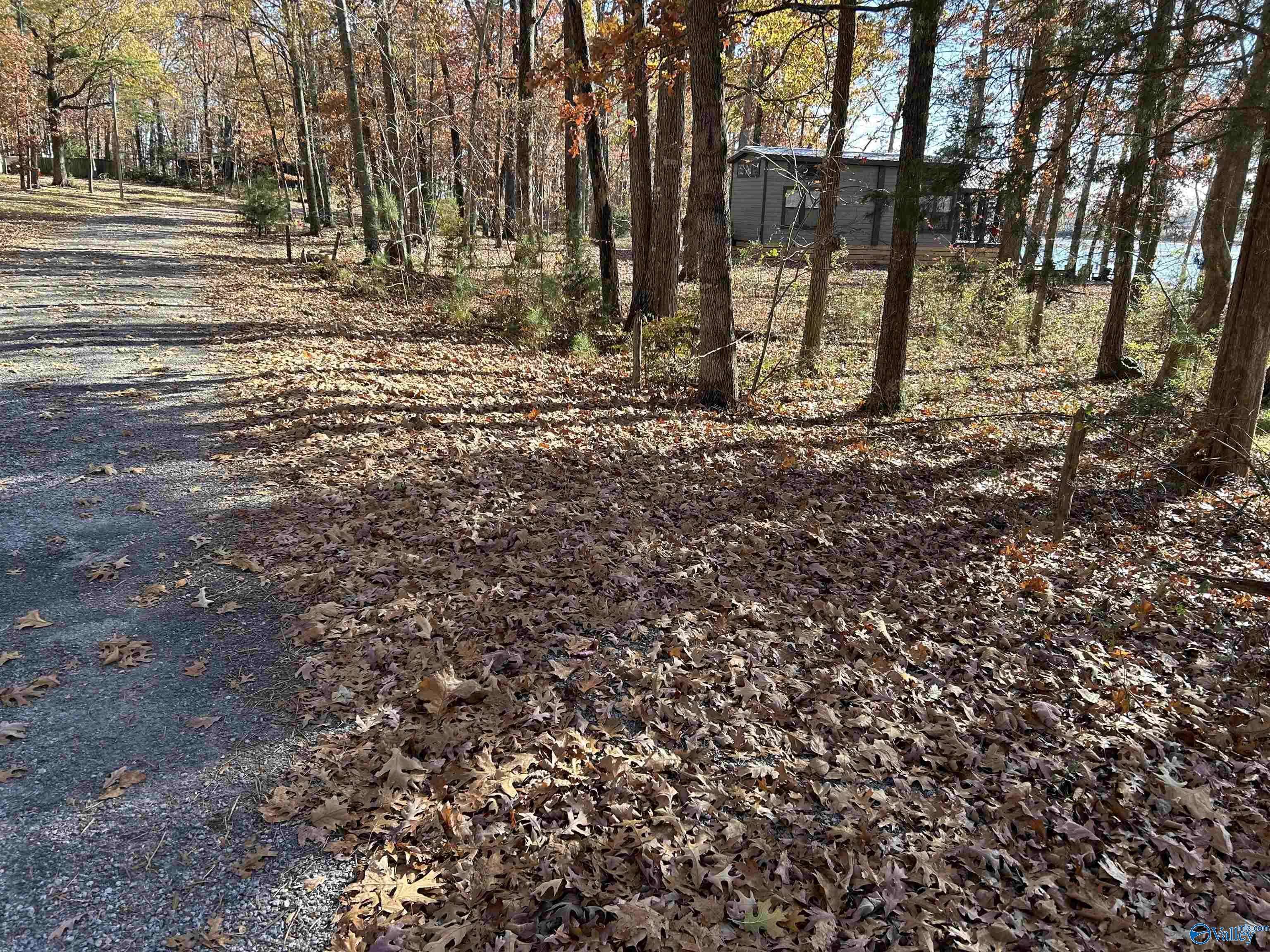 Cedar Bluff, AL 35959,Lot 14-B County Road 671