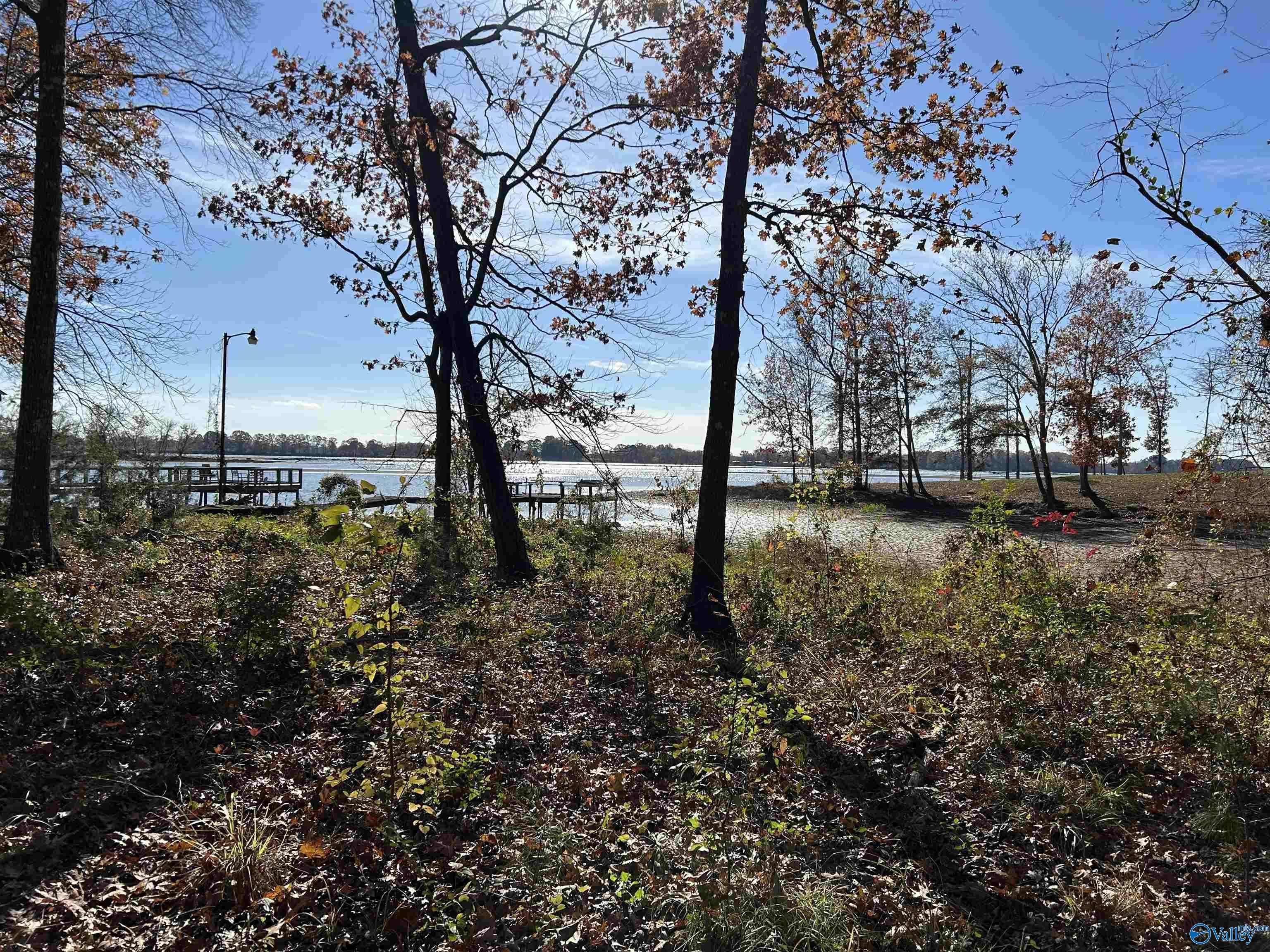 Cedar Bluff, AL 35959,Lot 14-B County Road 671