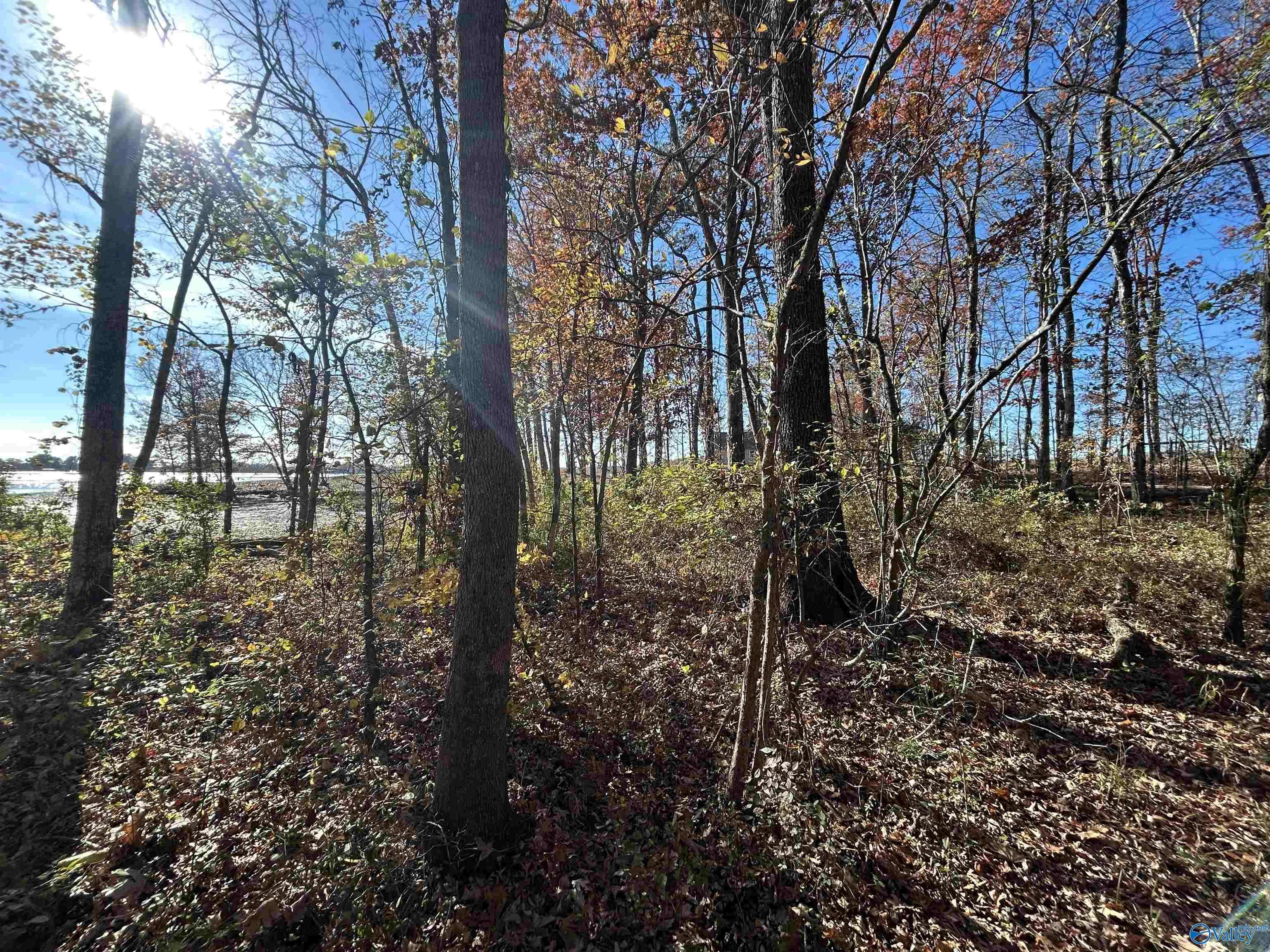 Cedar Bluff, AL 35959,Lot 13-A County Road 671