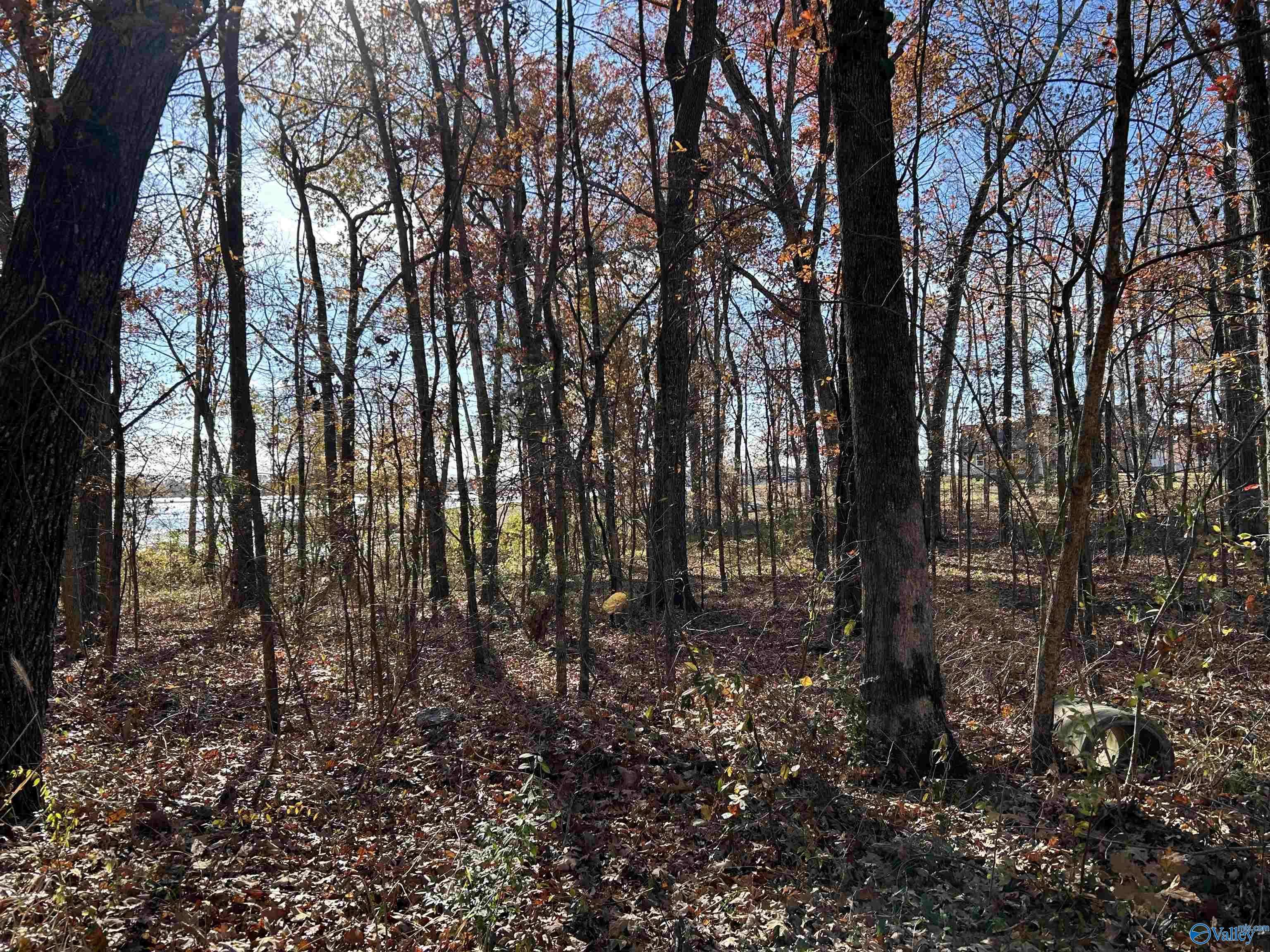 Cedar Bluff, AL 35959,Lot 13-A County Road 671