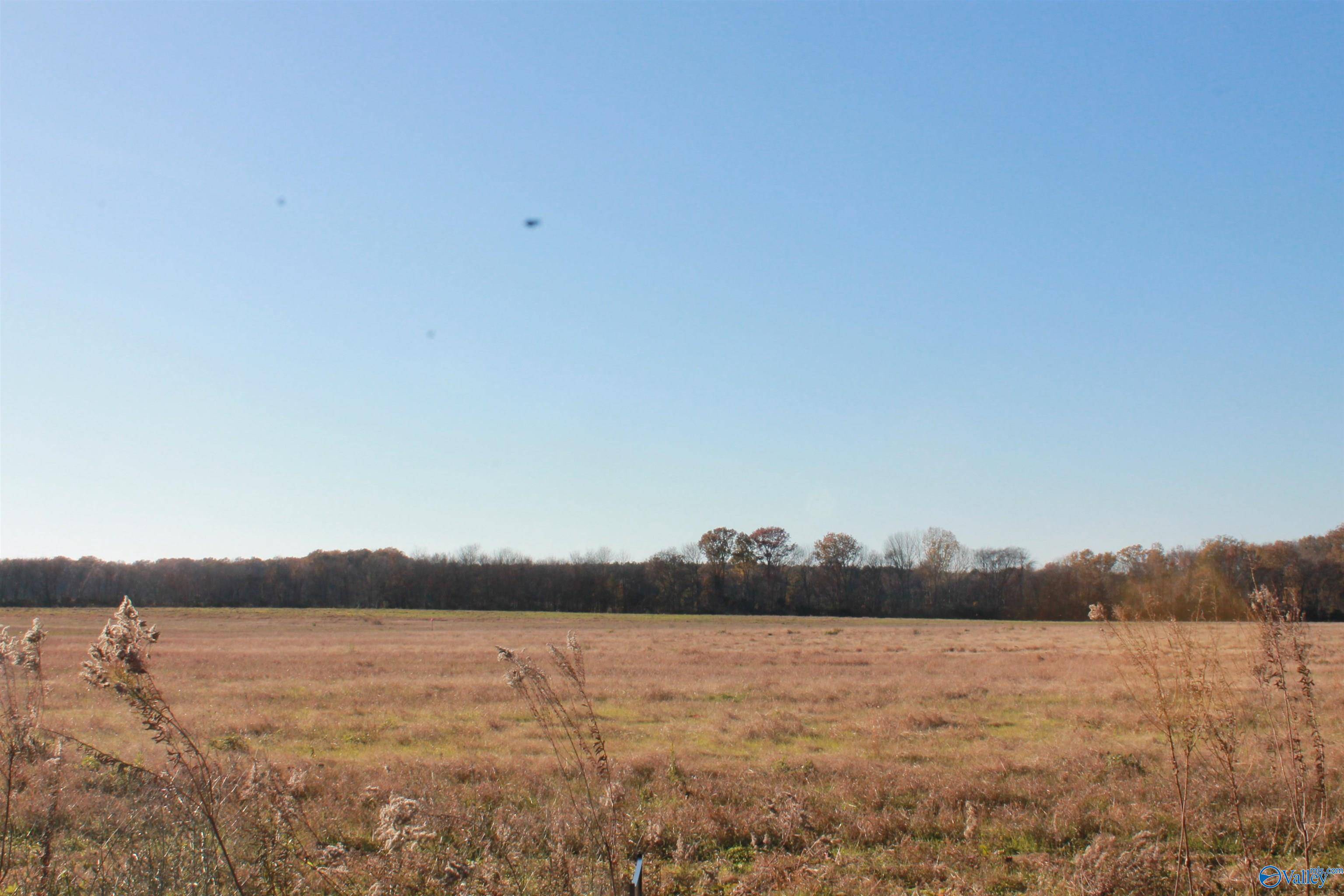 Falkville, AL 35622,Lot 3 Huckaby Bridge Road