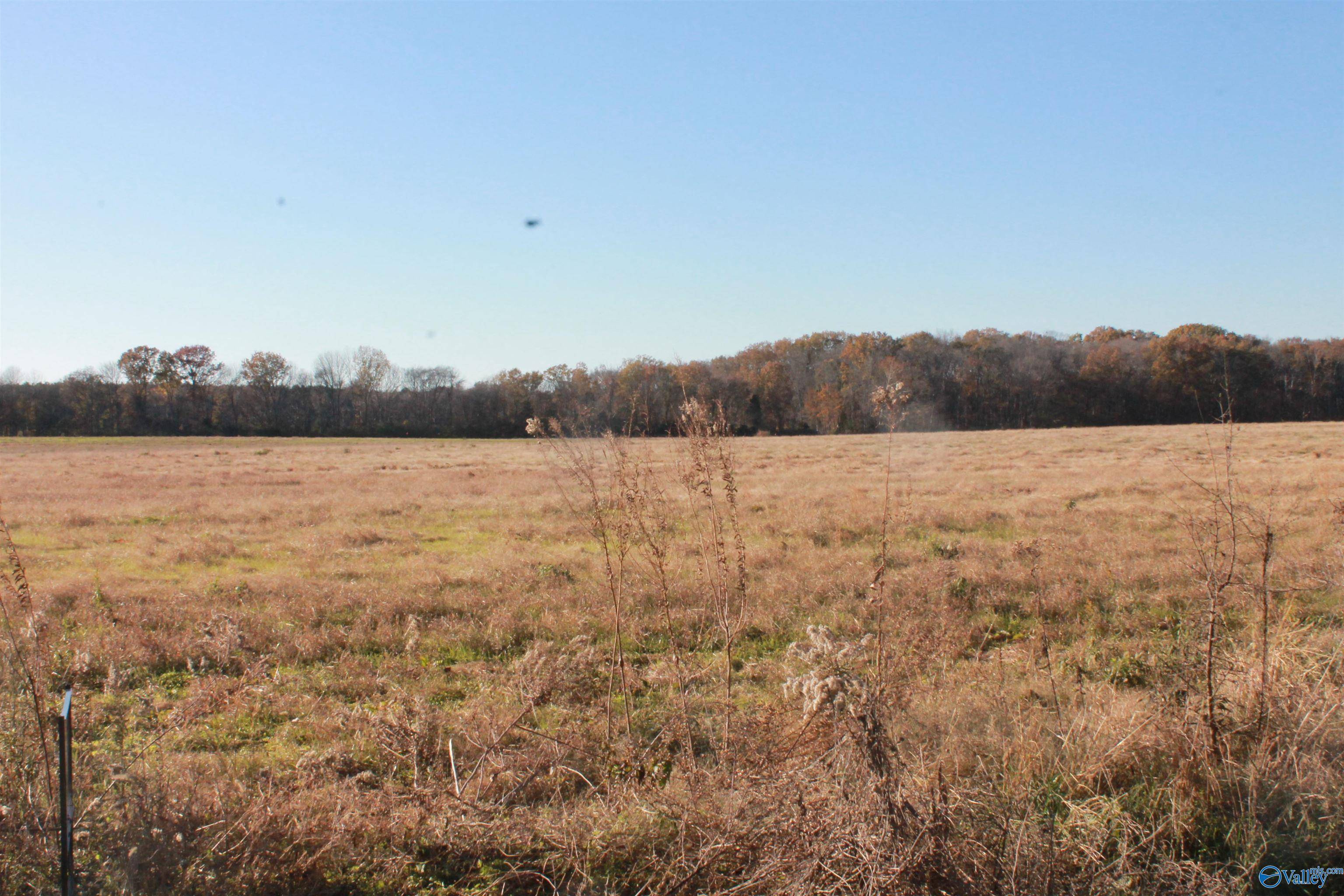 Falkville, AL 35622,Lot 3 Huckaby Bridge Road