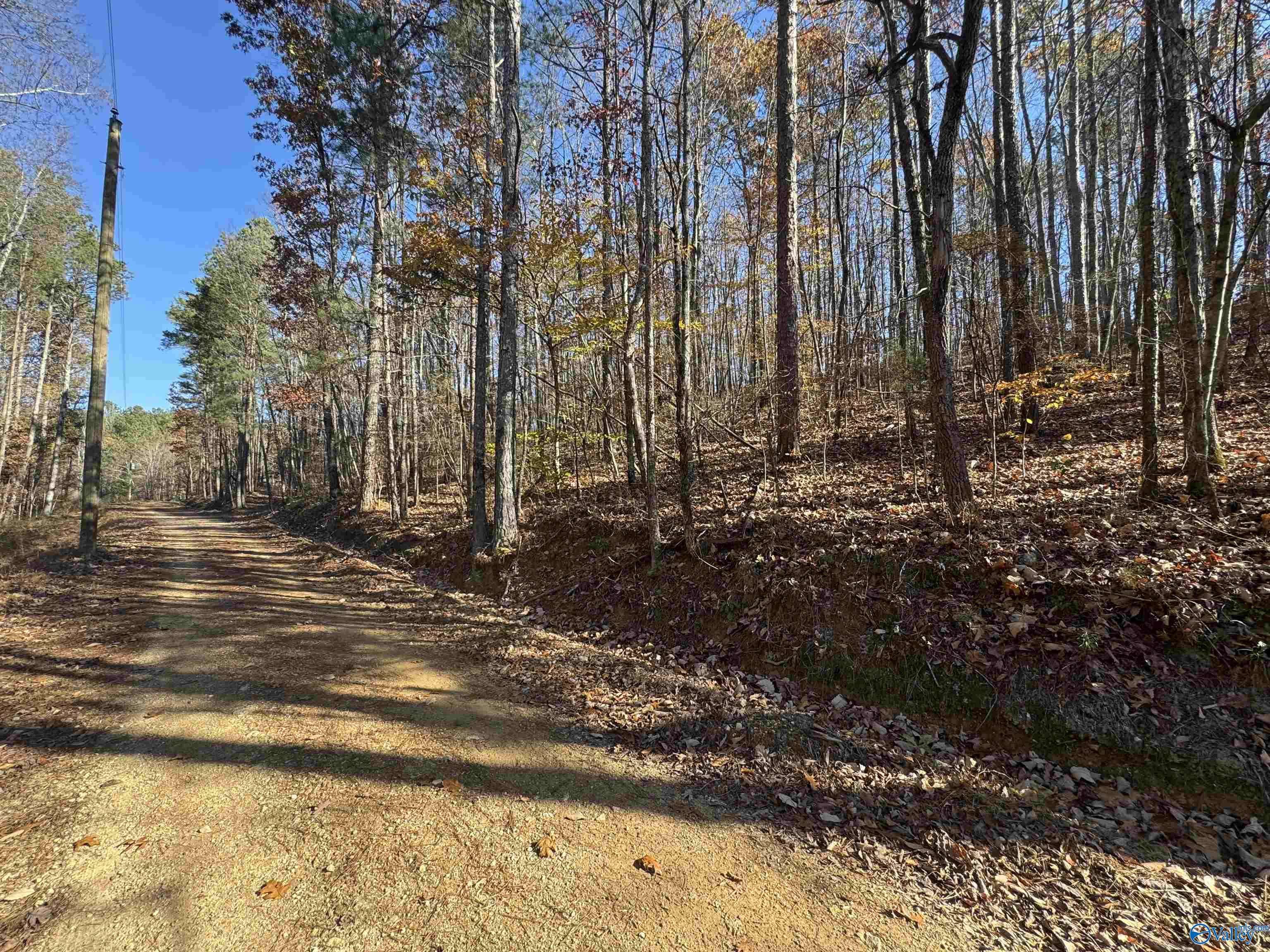 Collinsville, AL 35961,28 Acres County Road 917