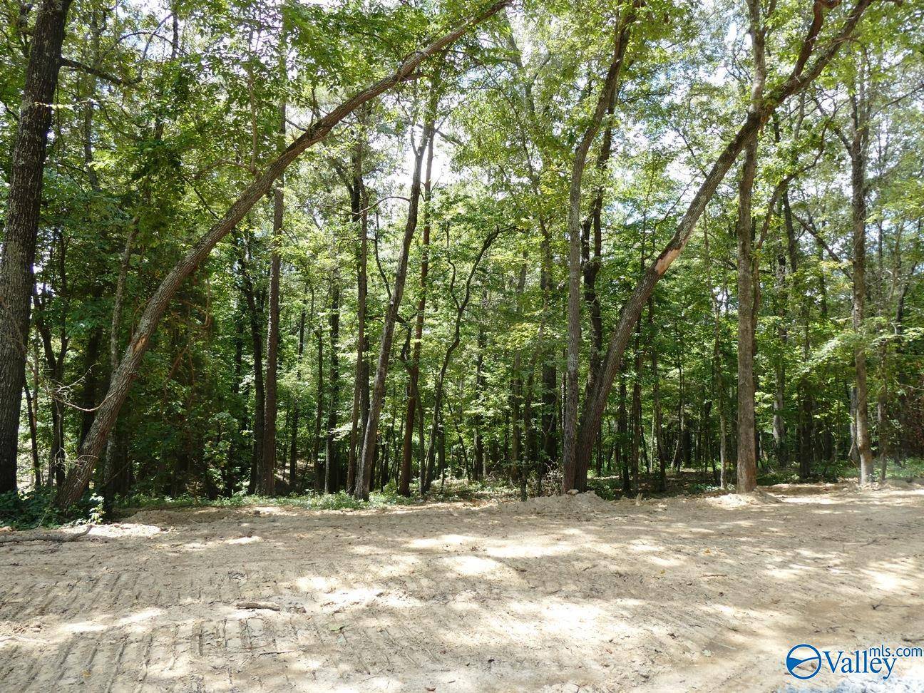 Jasper, AL 35504,Lot 49 Harbor Loop