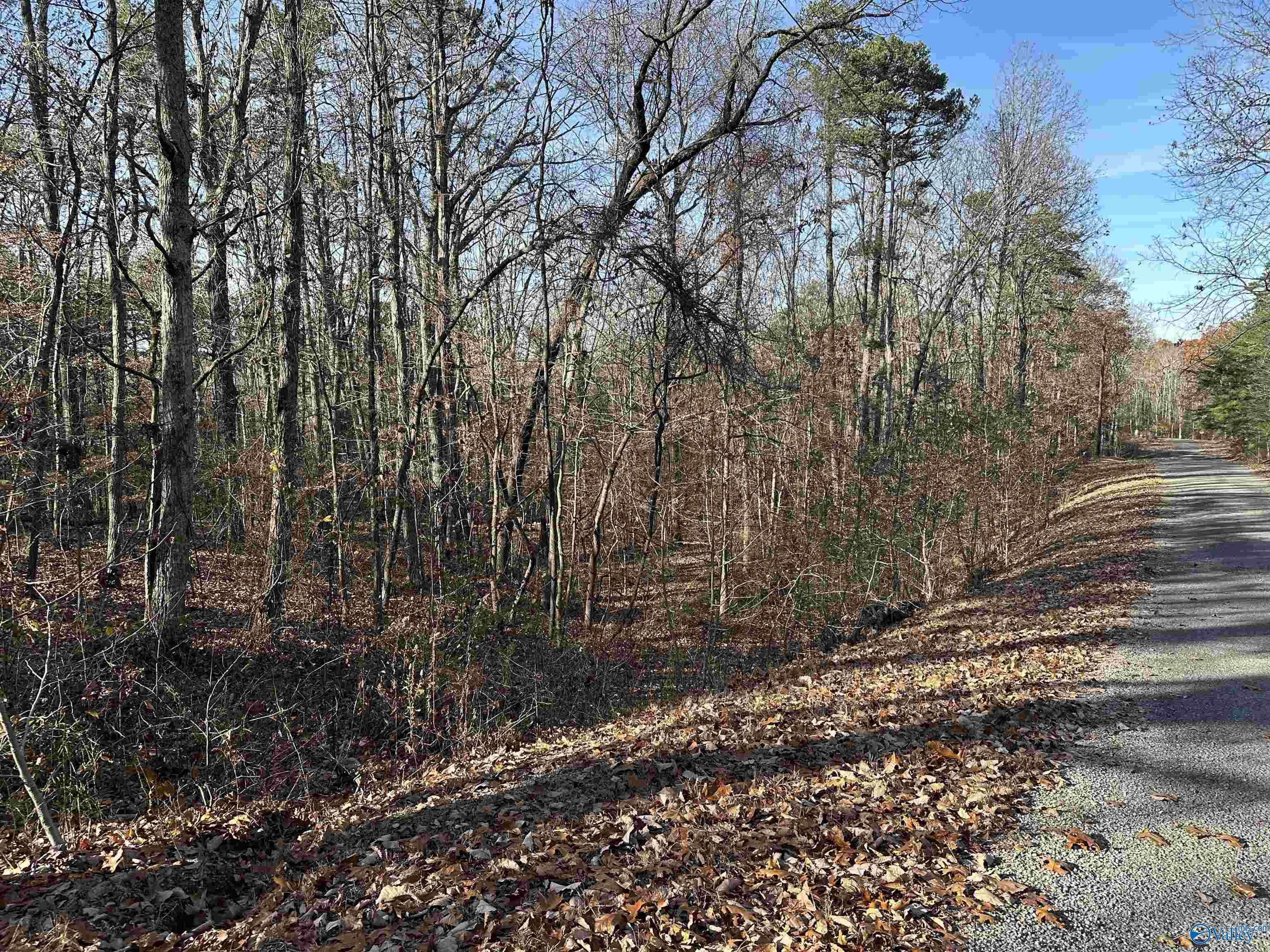 Scottsboro, AL 35768,Lot 33 Woodfern Drive