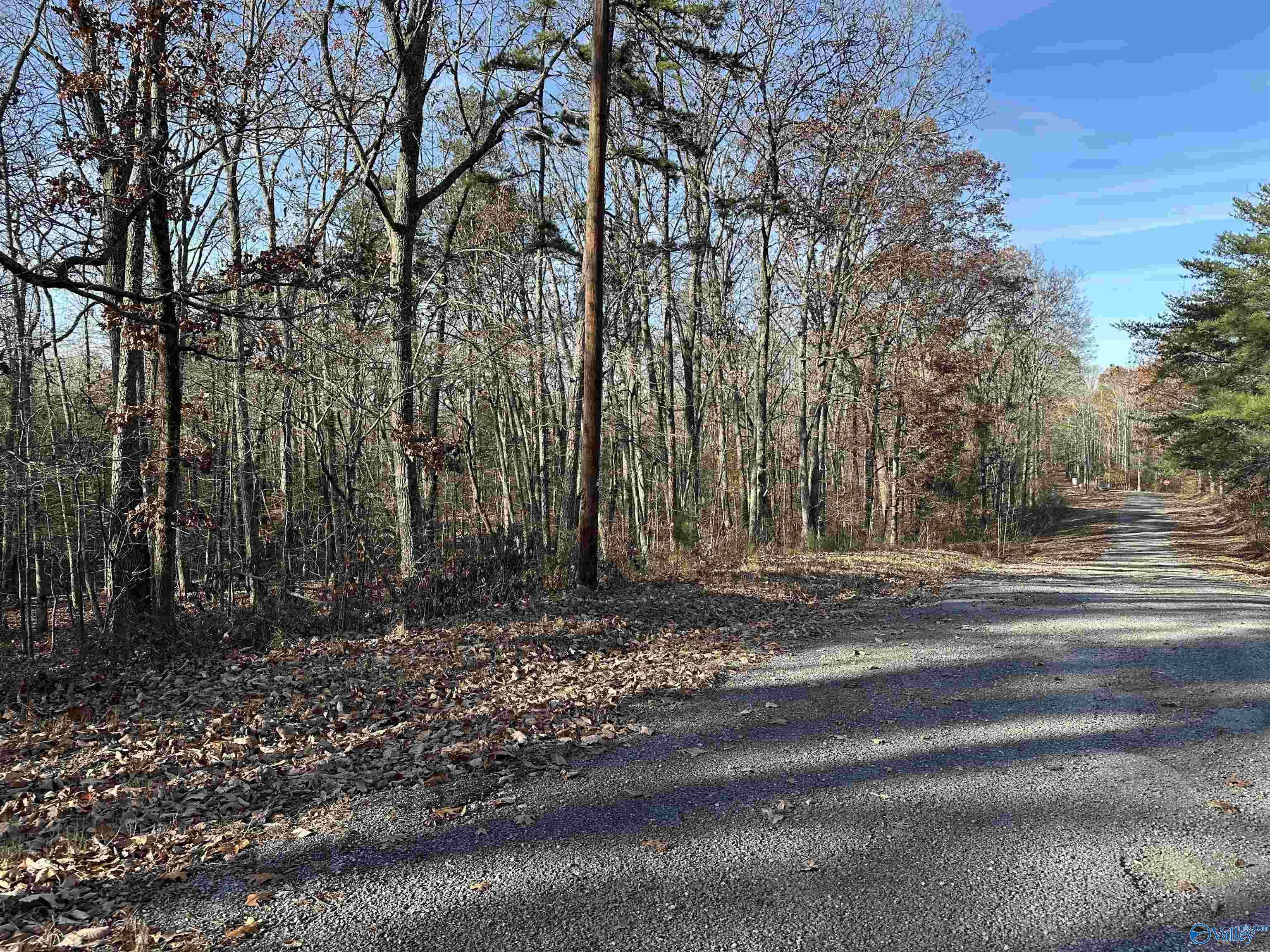 Scottsboro, AL 35768,Lot 33 Woodfern Drive