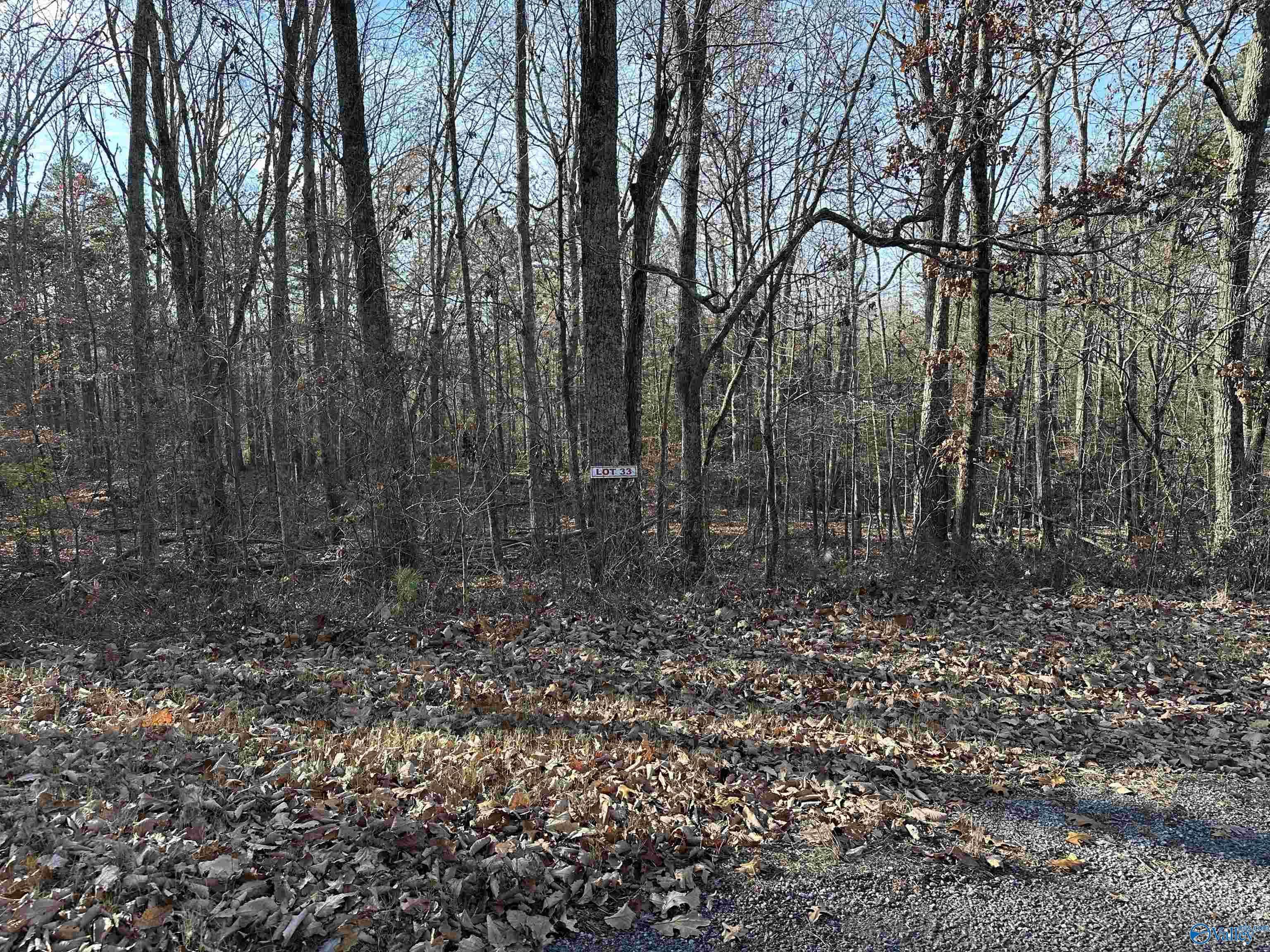 Scottsboro, AL 35768,Lot 33 Woodfern Drive