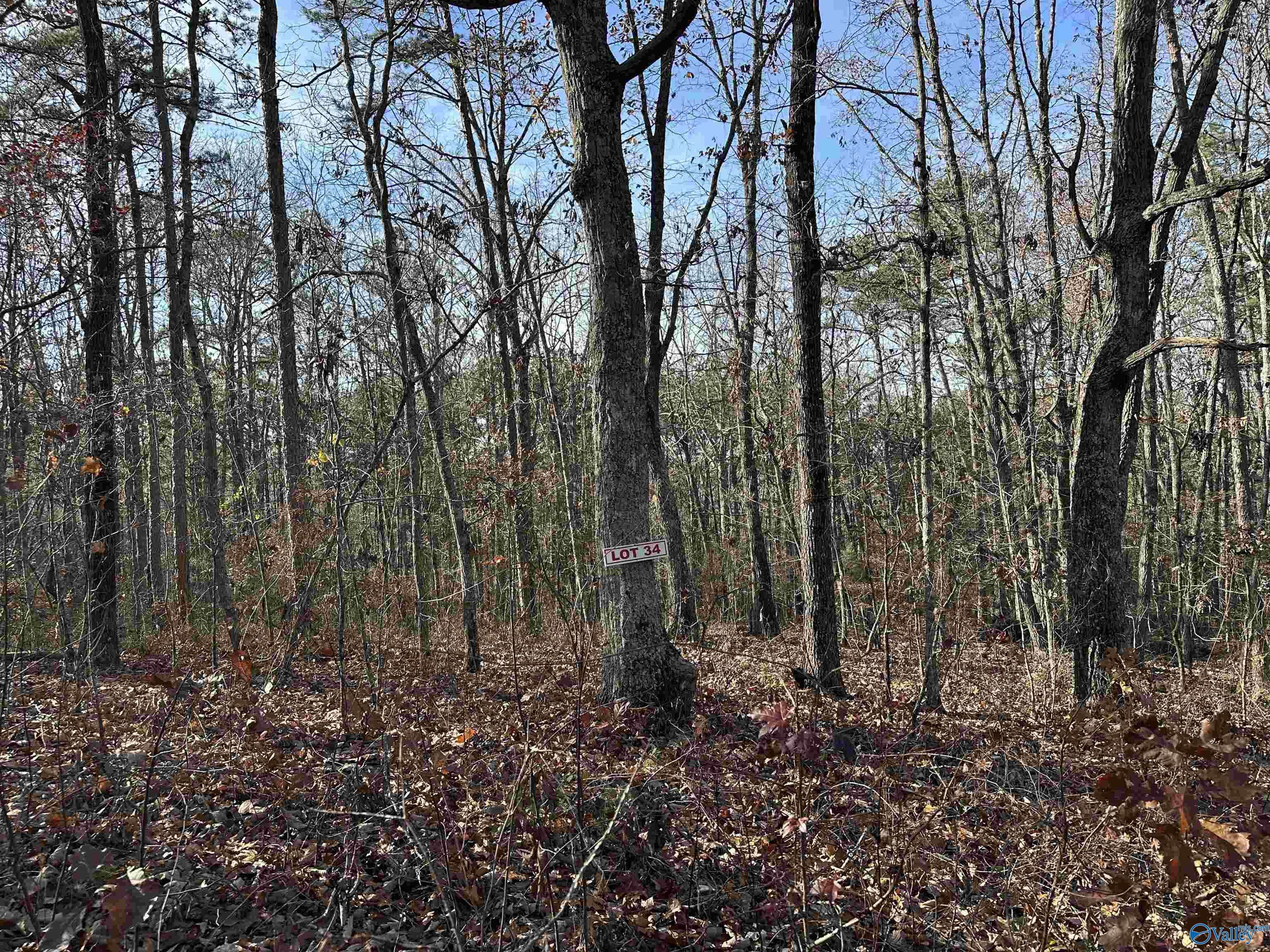 Scottsboro, AL 35768,Lot 34 Woodfern Drive