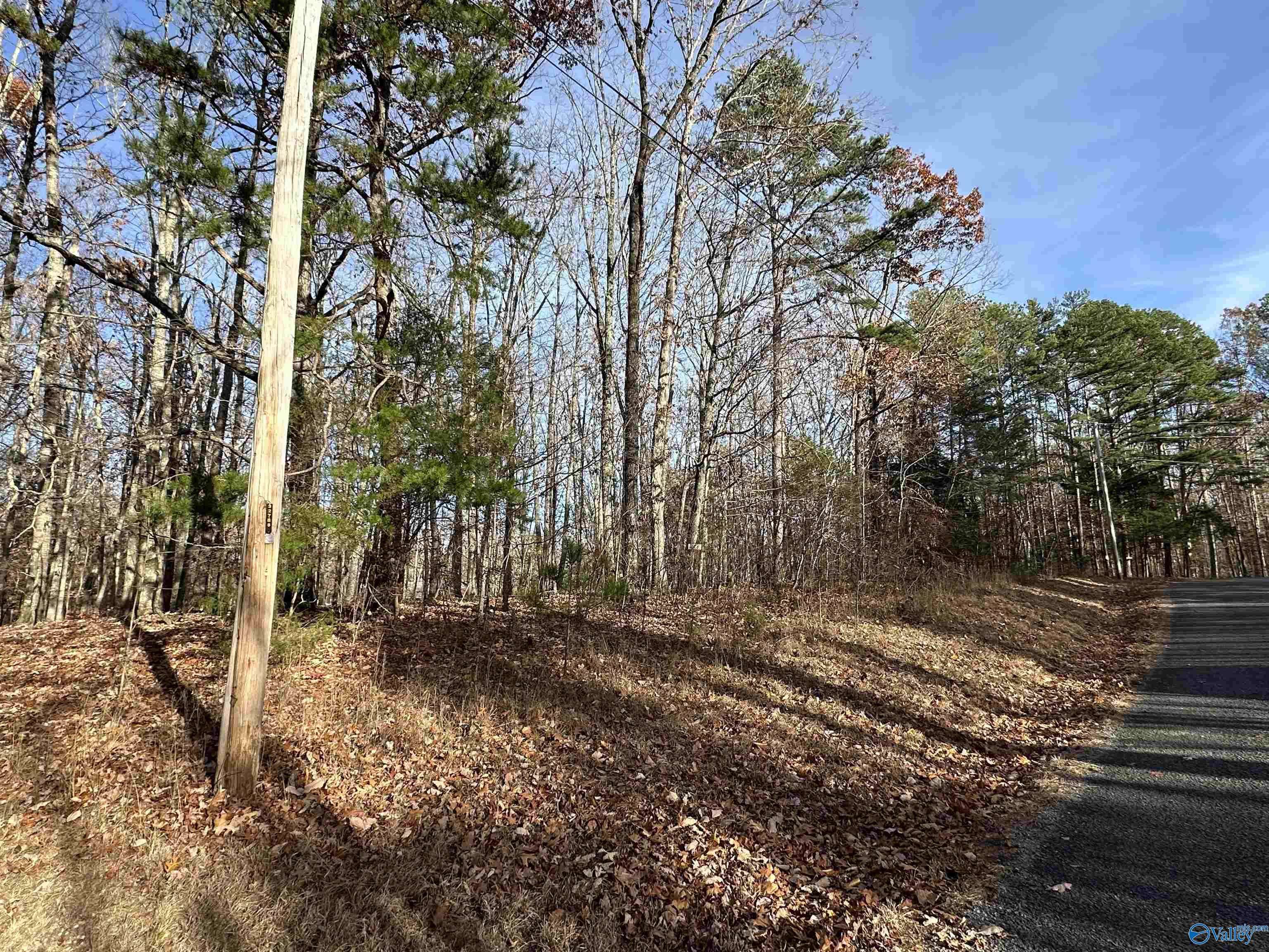 Scottsboro, AL 35768,Lot 22 Woodfern Drive