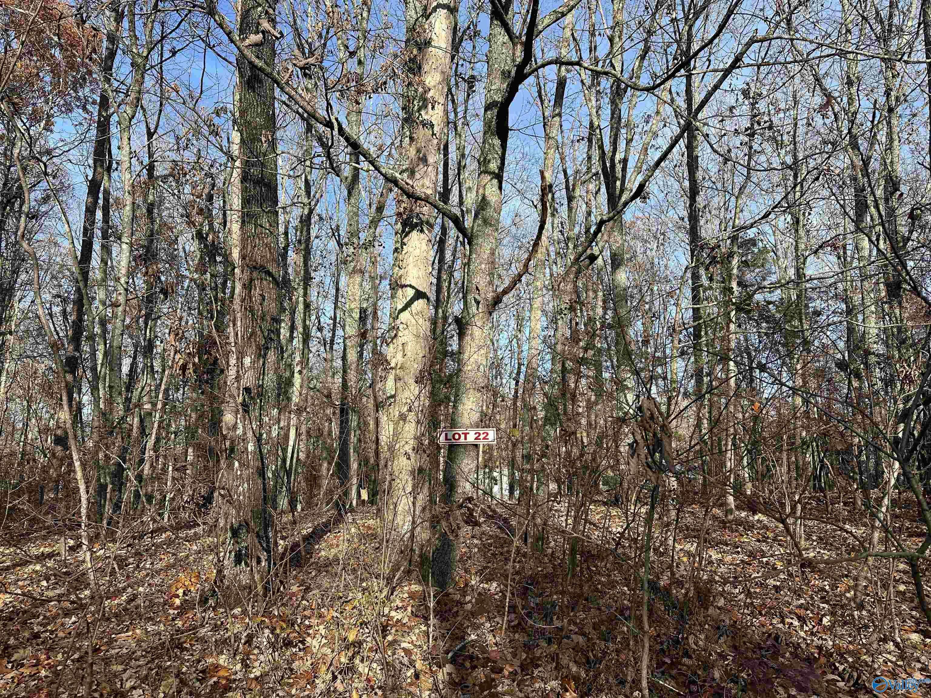 Scottsboro, AL 35768,Lot 22 Woodfern Drive