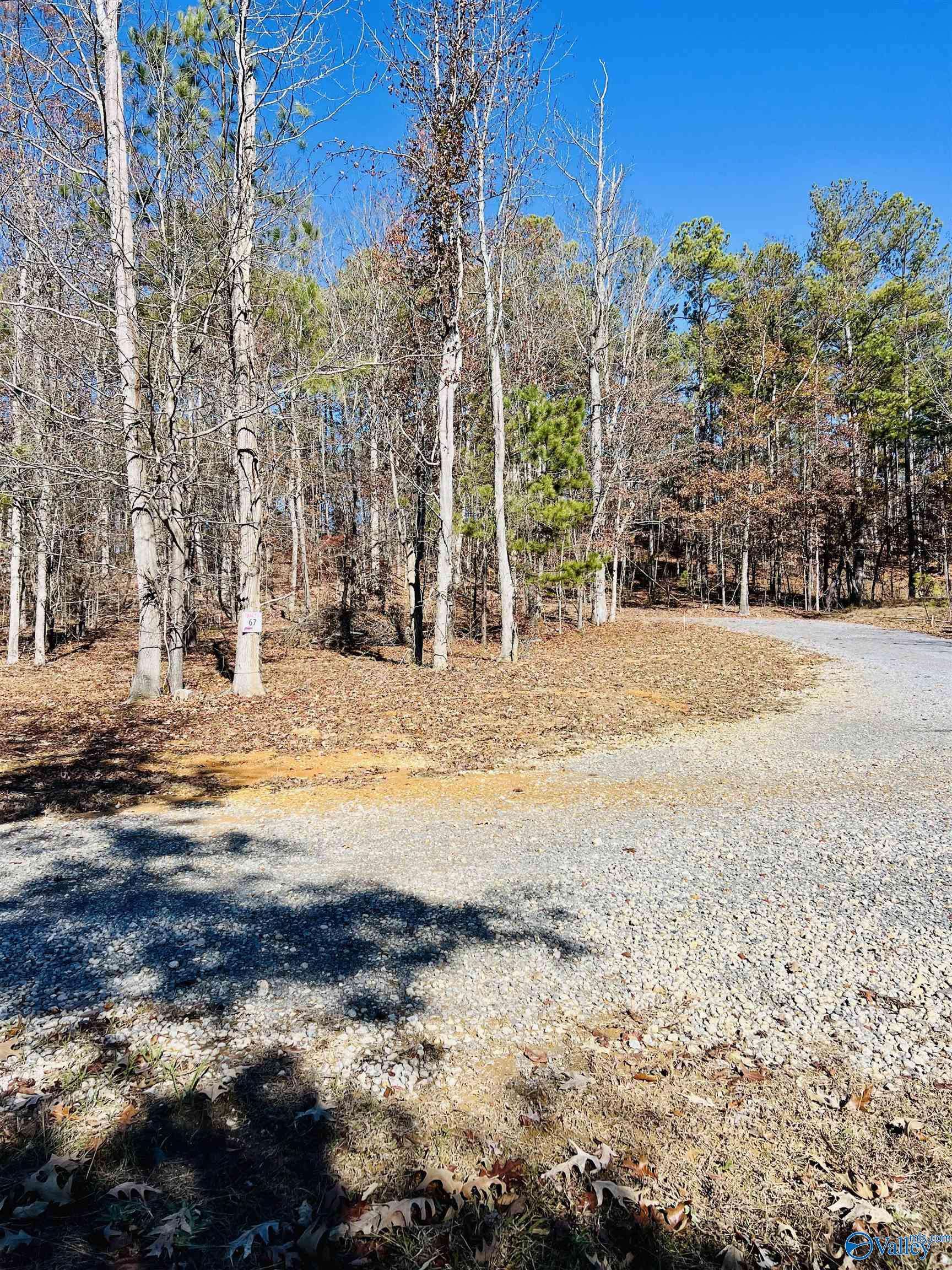 Cedar Bluff, AL 35959,1801 County Road 182 #4Lots