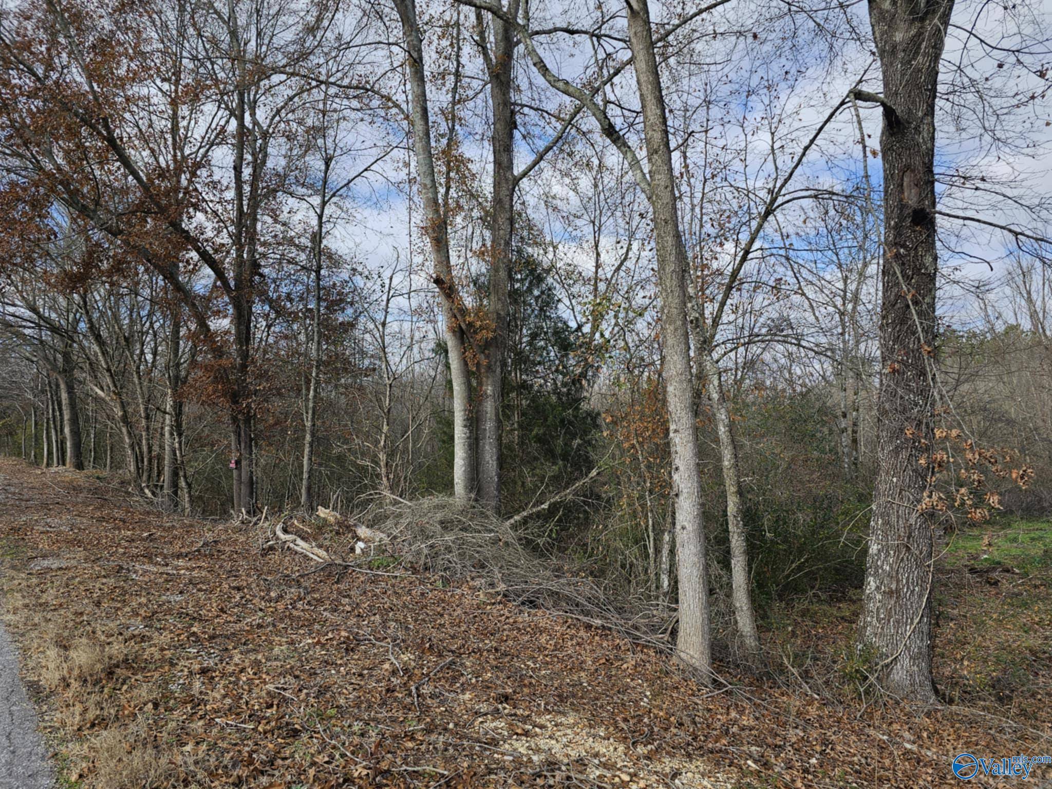 Town Creek, AL 35672,21 Acres County Road 236