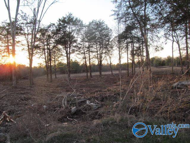 Albertville, AL 35951,1 Razorback Way