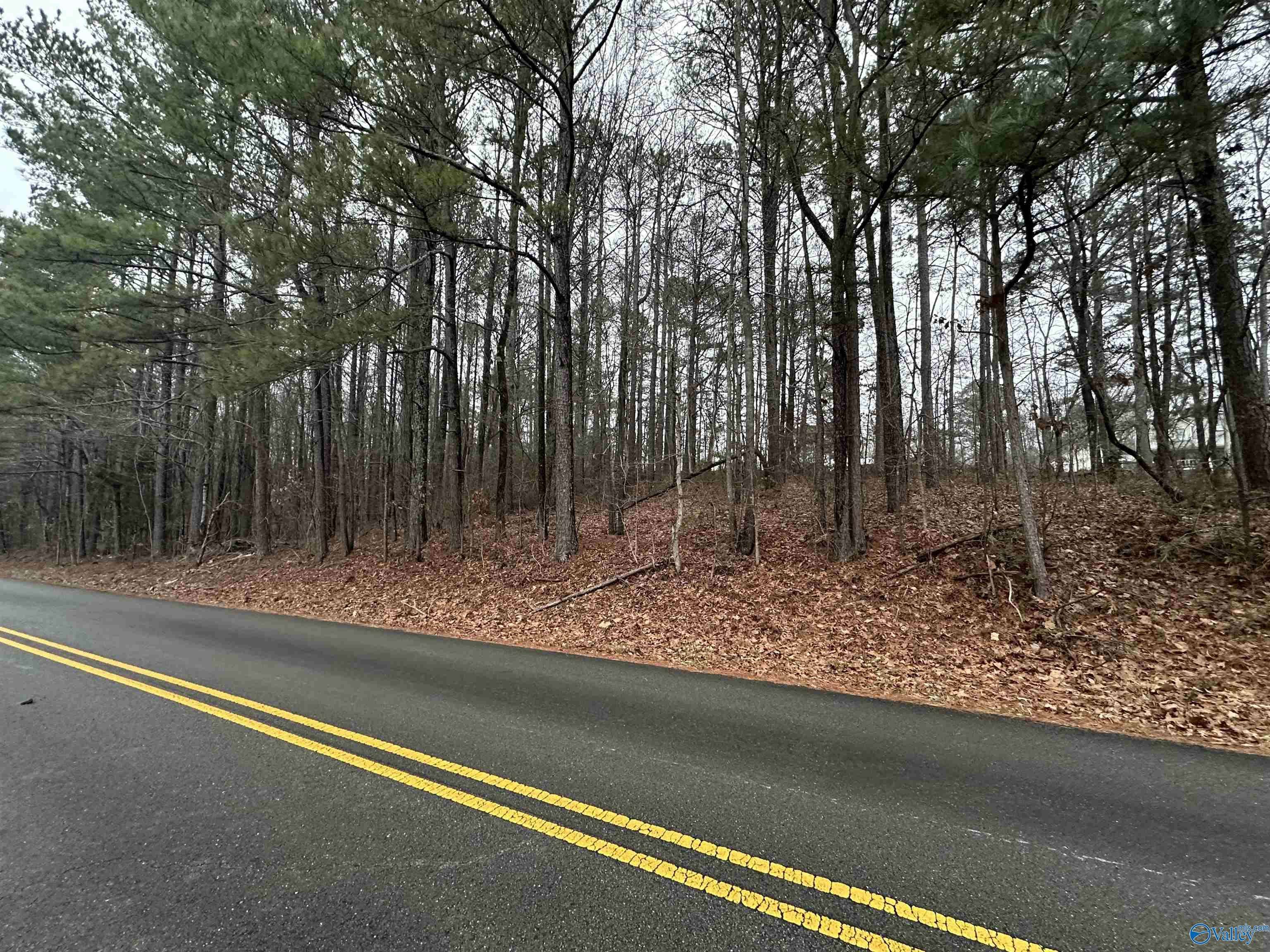 Arab, AL 35016,3 Acres Pine Lake Drive NW