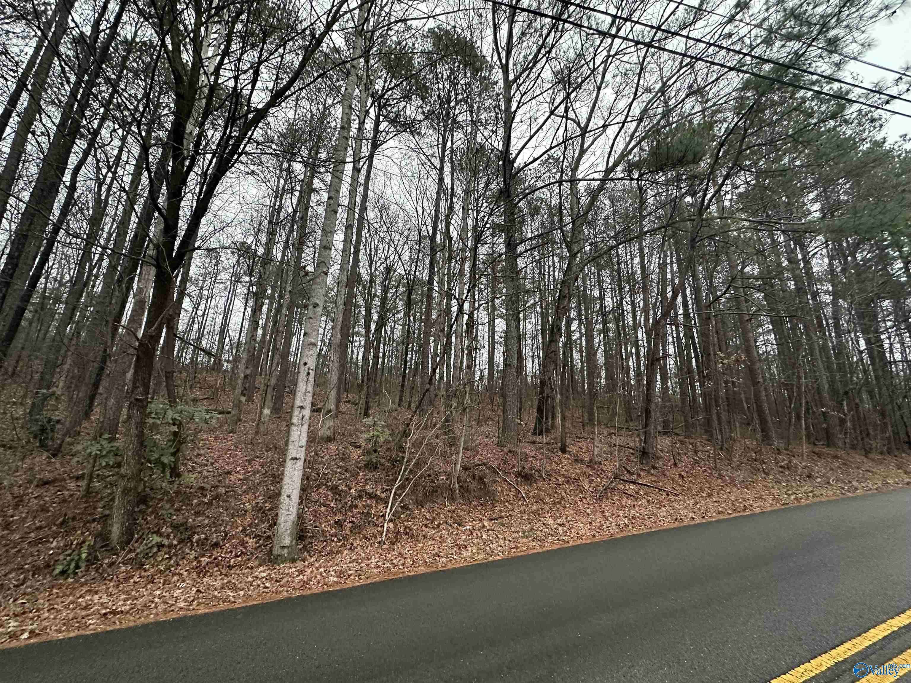 Arab, AL 35016,3 Acres Pine Lake Drive NW