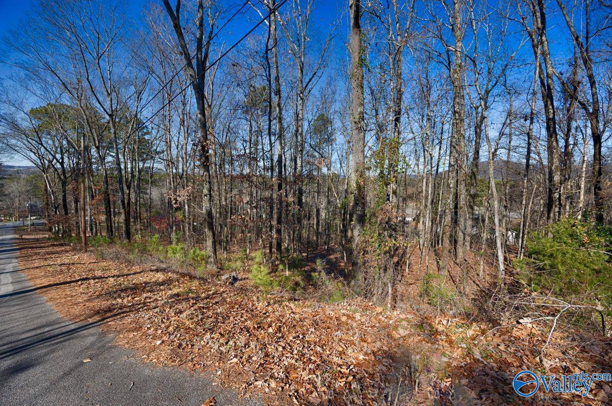Huntsville, AL 35803,153 Parsons Drive