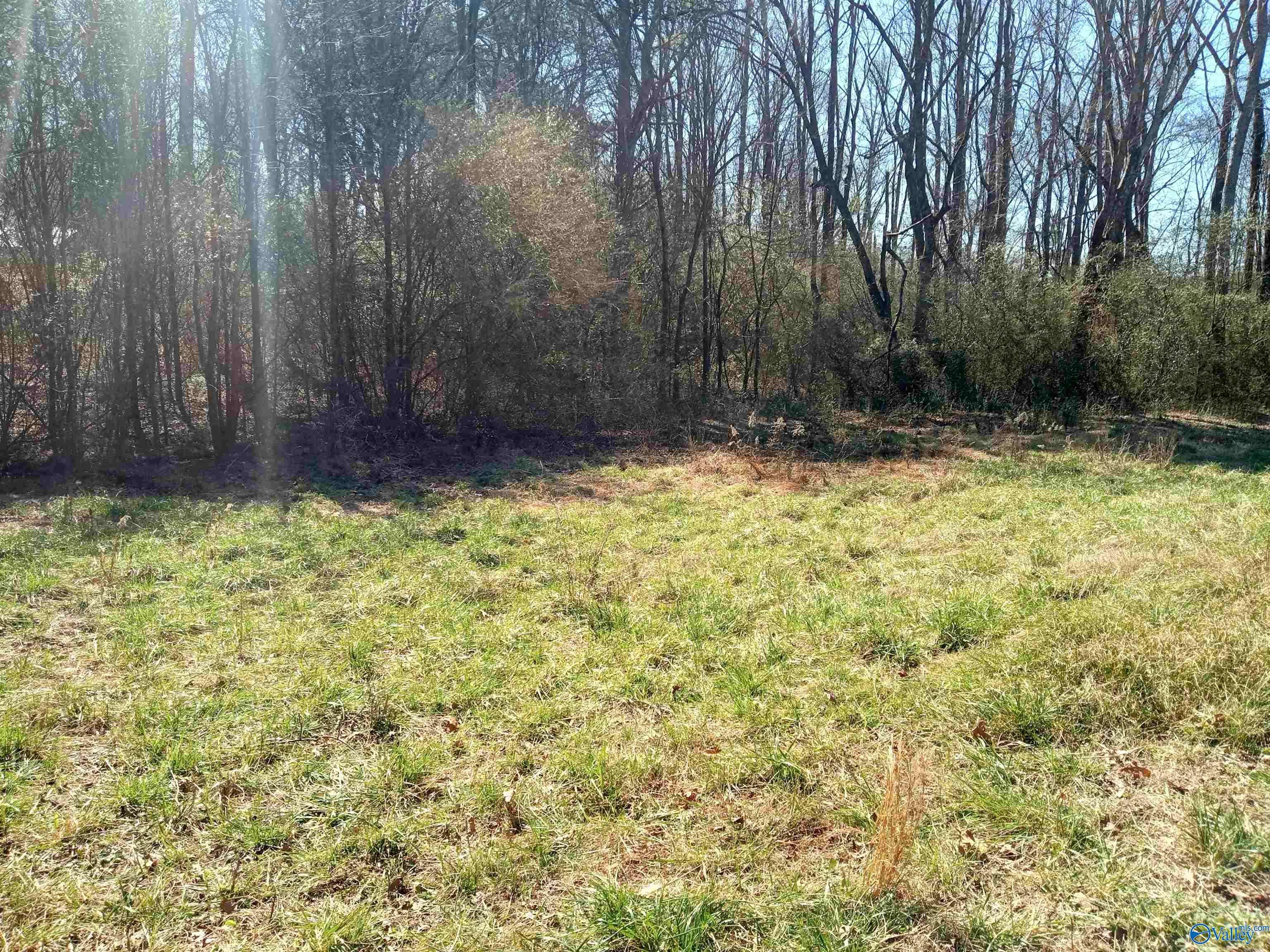 Arab, AL 35061,830 City Park Drive