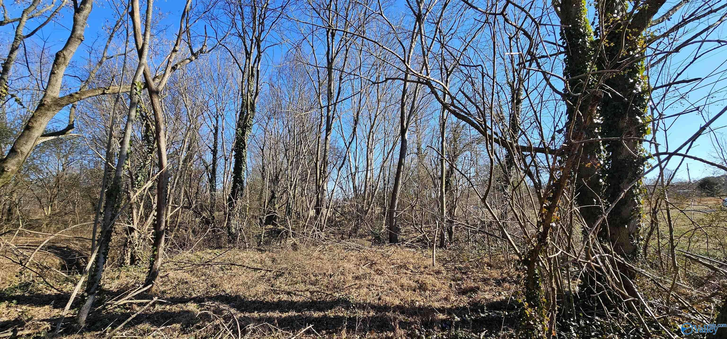 Geraldine, AL 35974,1 +/- Acre Alabama Highway 227