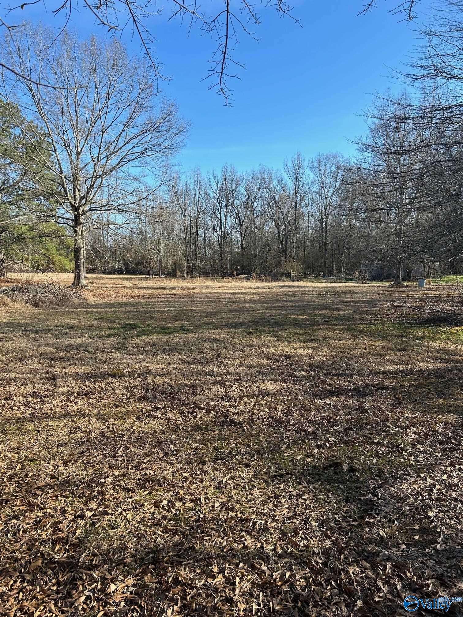 Hazel Green, AL 35750,2144 Elkwood Section Road