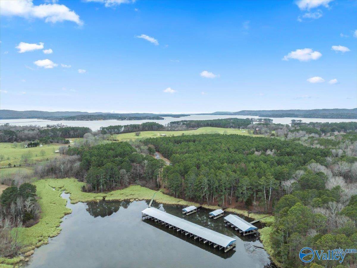 Langston, AL 35755,590 John Cabaniss Road
