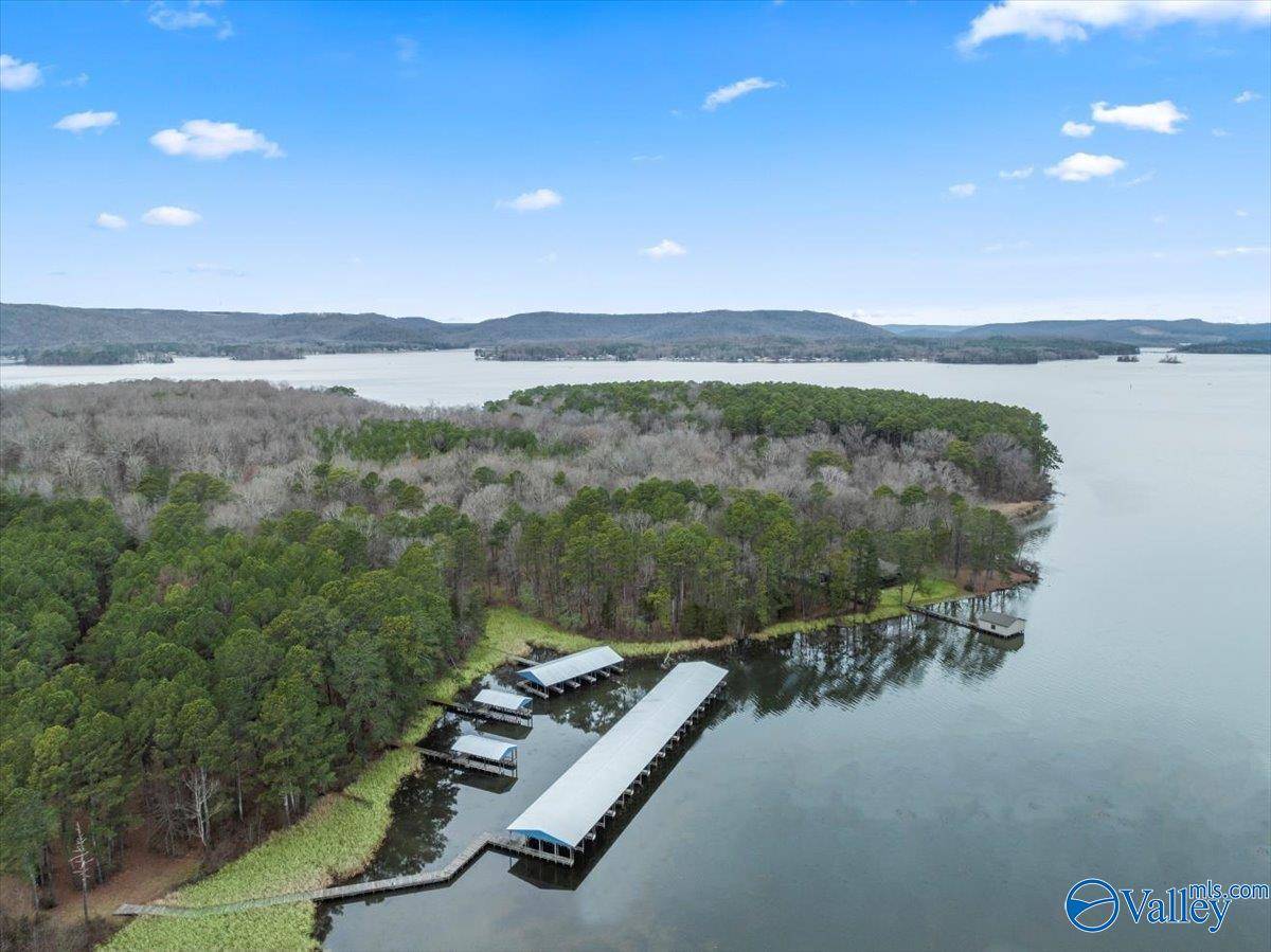 Langston, AL 35755,655 John Cabaniss Road