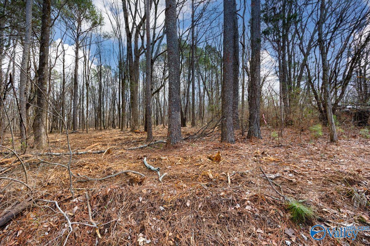 Huntsville, AL 35806,3.39 Acres Travis Road NW