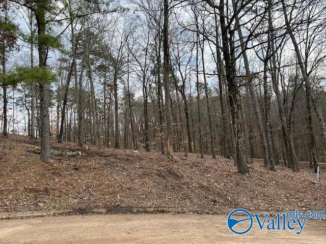 Guntersville, AL 35976,Lot 24 Hualapai Lane