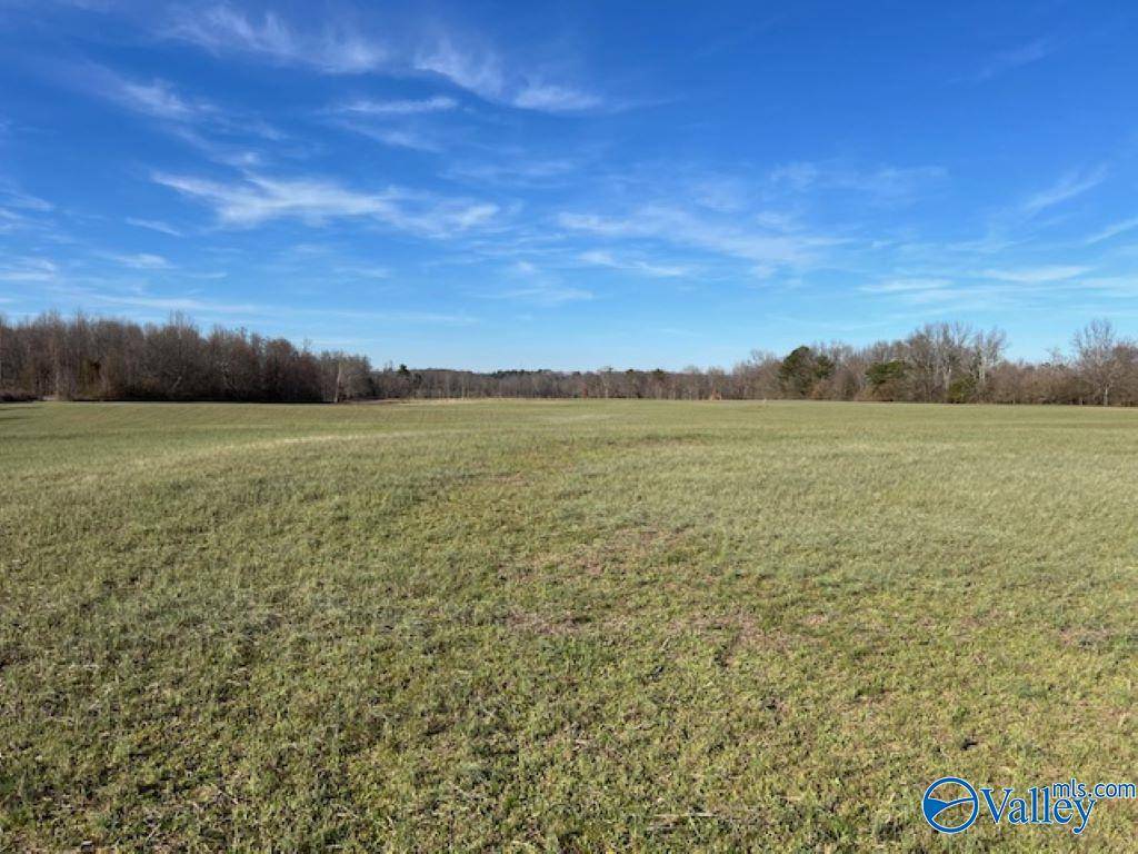 Joppa, AL 35087,12 Acres Hulaco Road