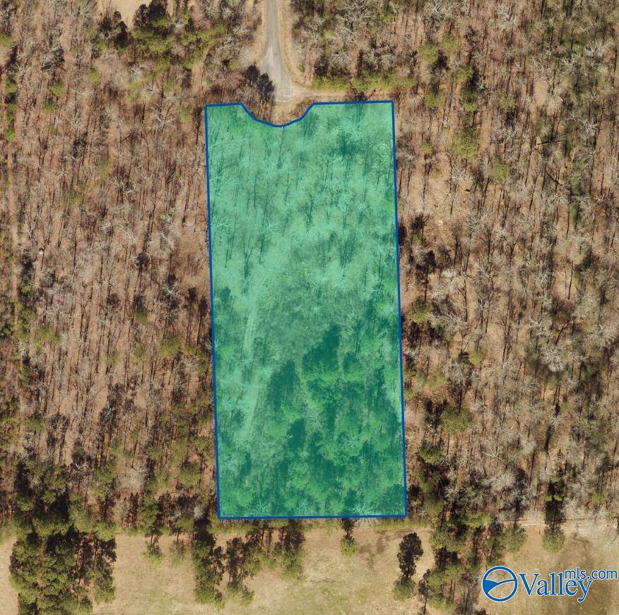 Centre, AL 35960,7 A County Road 497